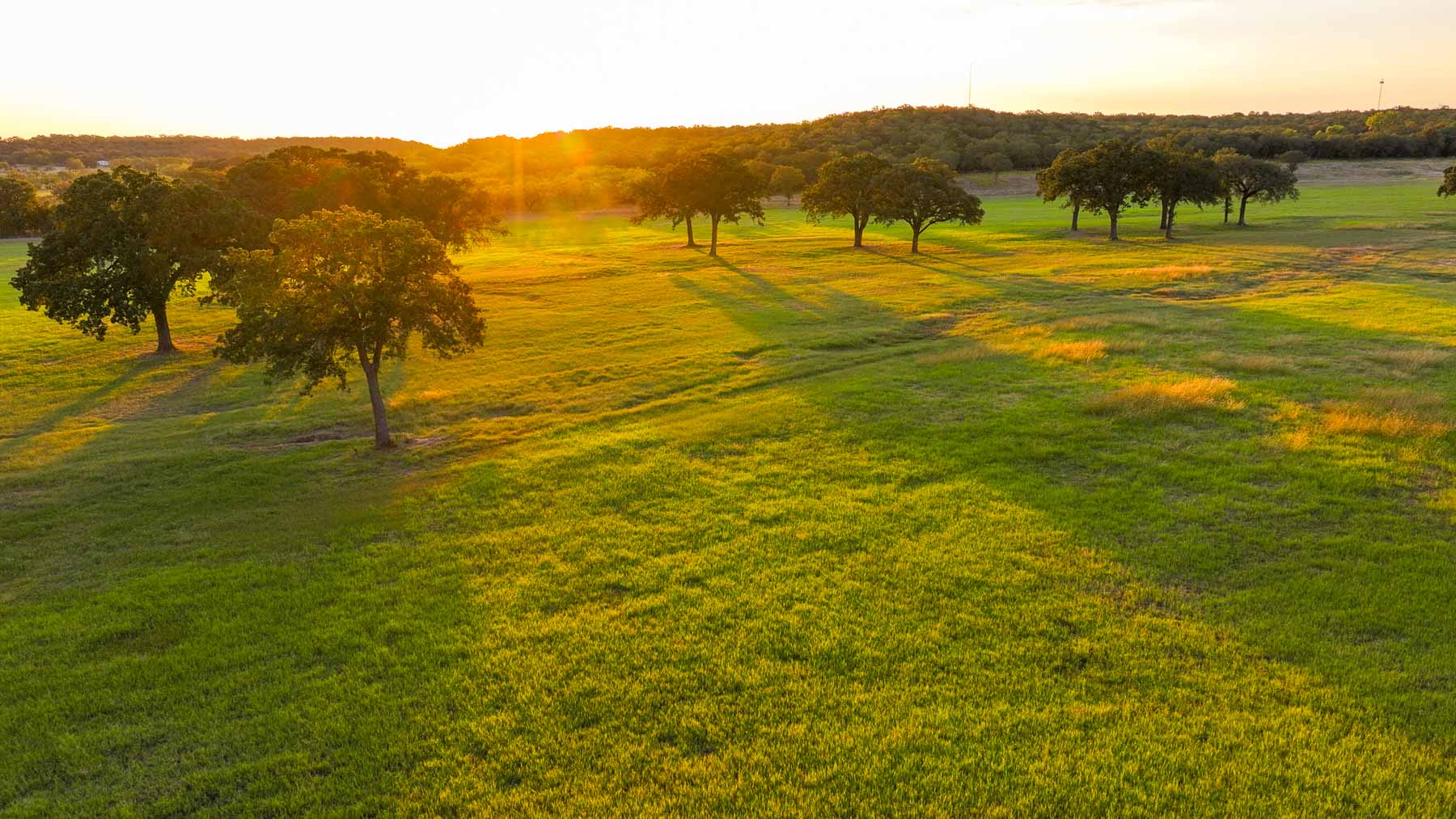 K6+ property picture 46 of 81