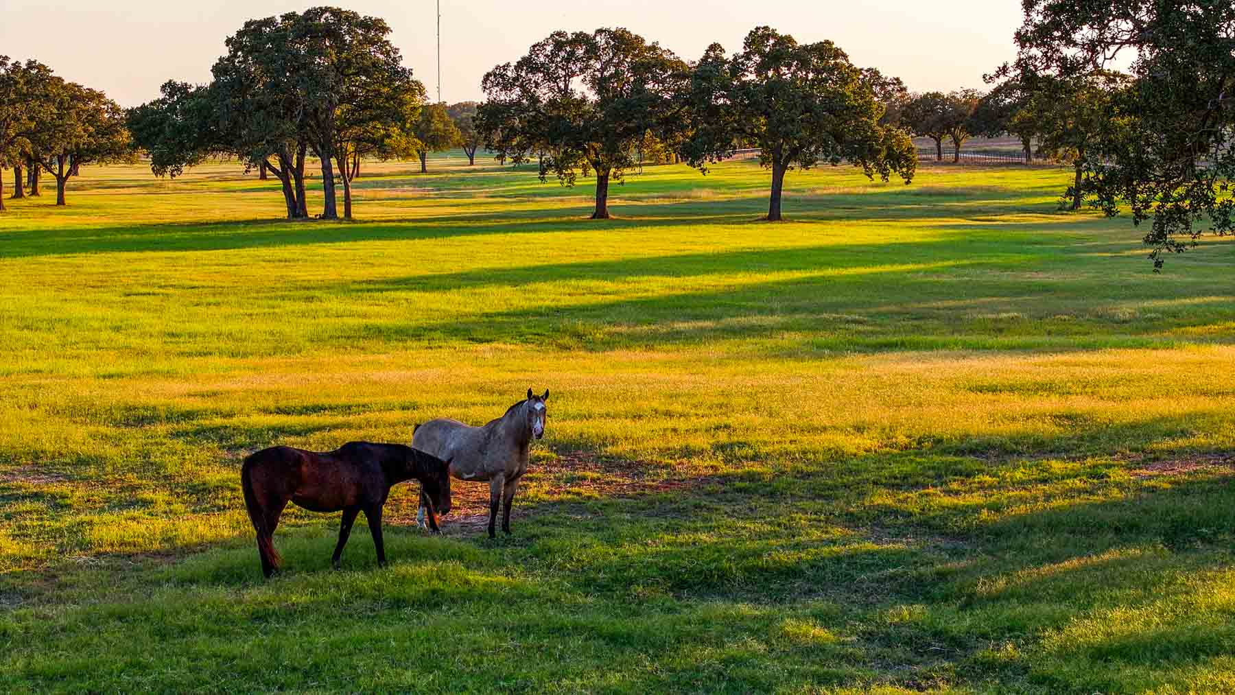 K6+ property picture 49 of 81