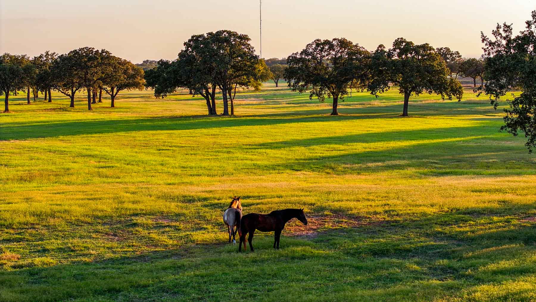 K6+ property picture 37 of 81