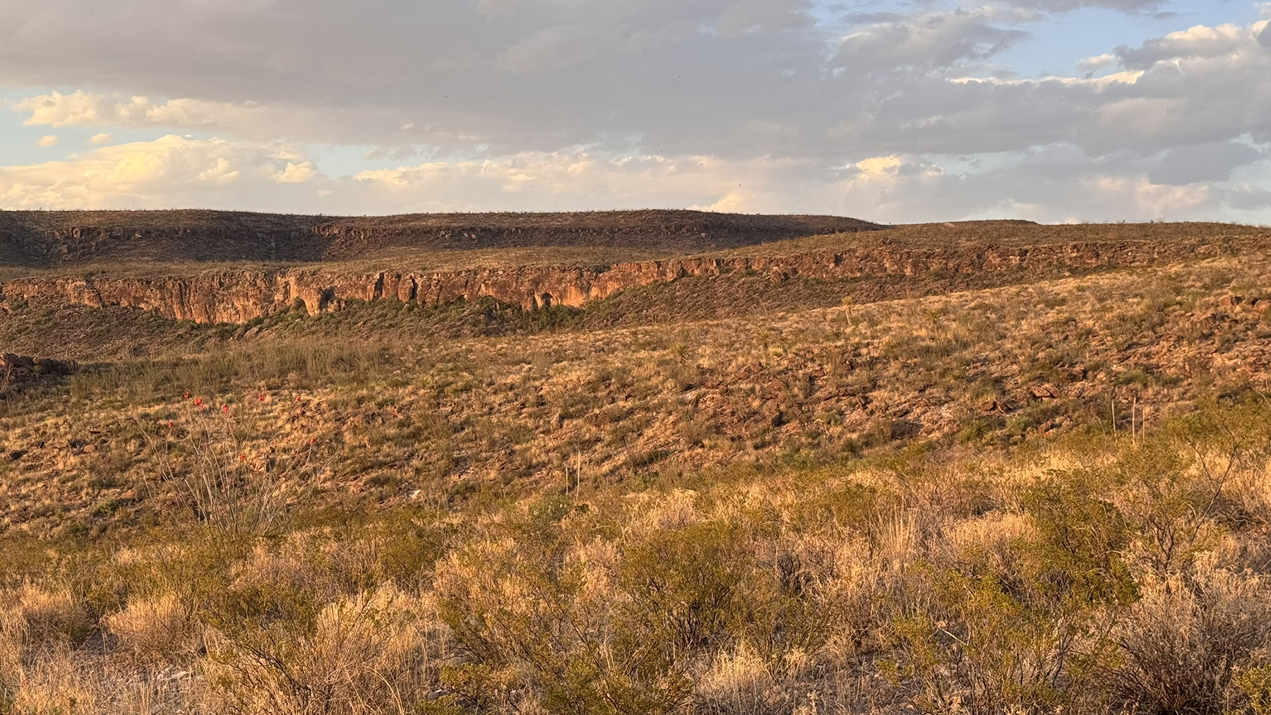 Cripple Mill Ranch property picture 17 of 56