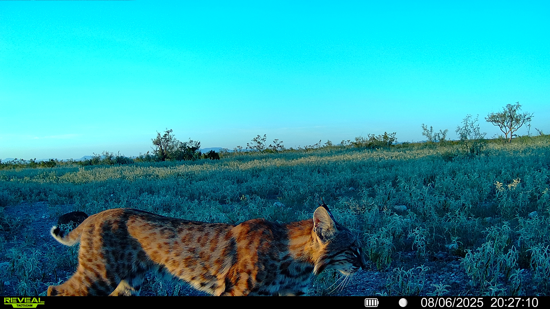Cripple Mill Ranch property picture 56 of 56