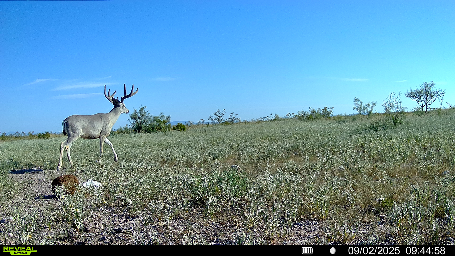 Cripple Mill Ranch property picture 55 of 56