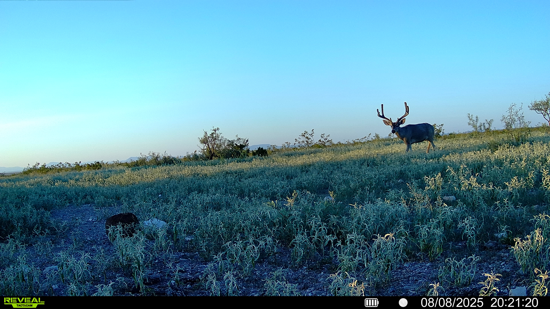 Cripple Mill Ranch property picture 53 of 56