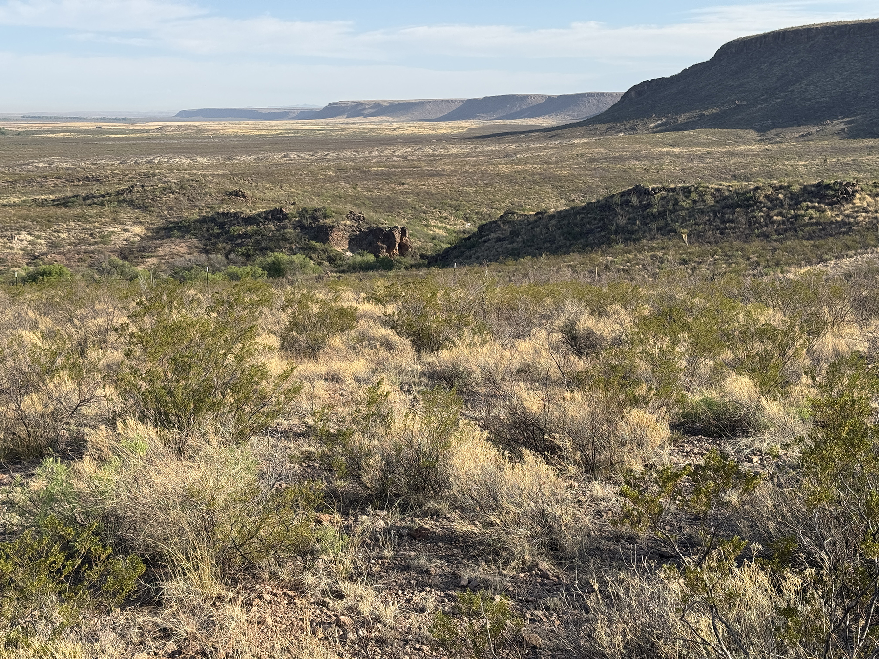 Cripple Mill Ranch property picture 24 of 56