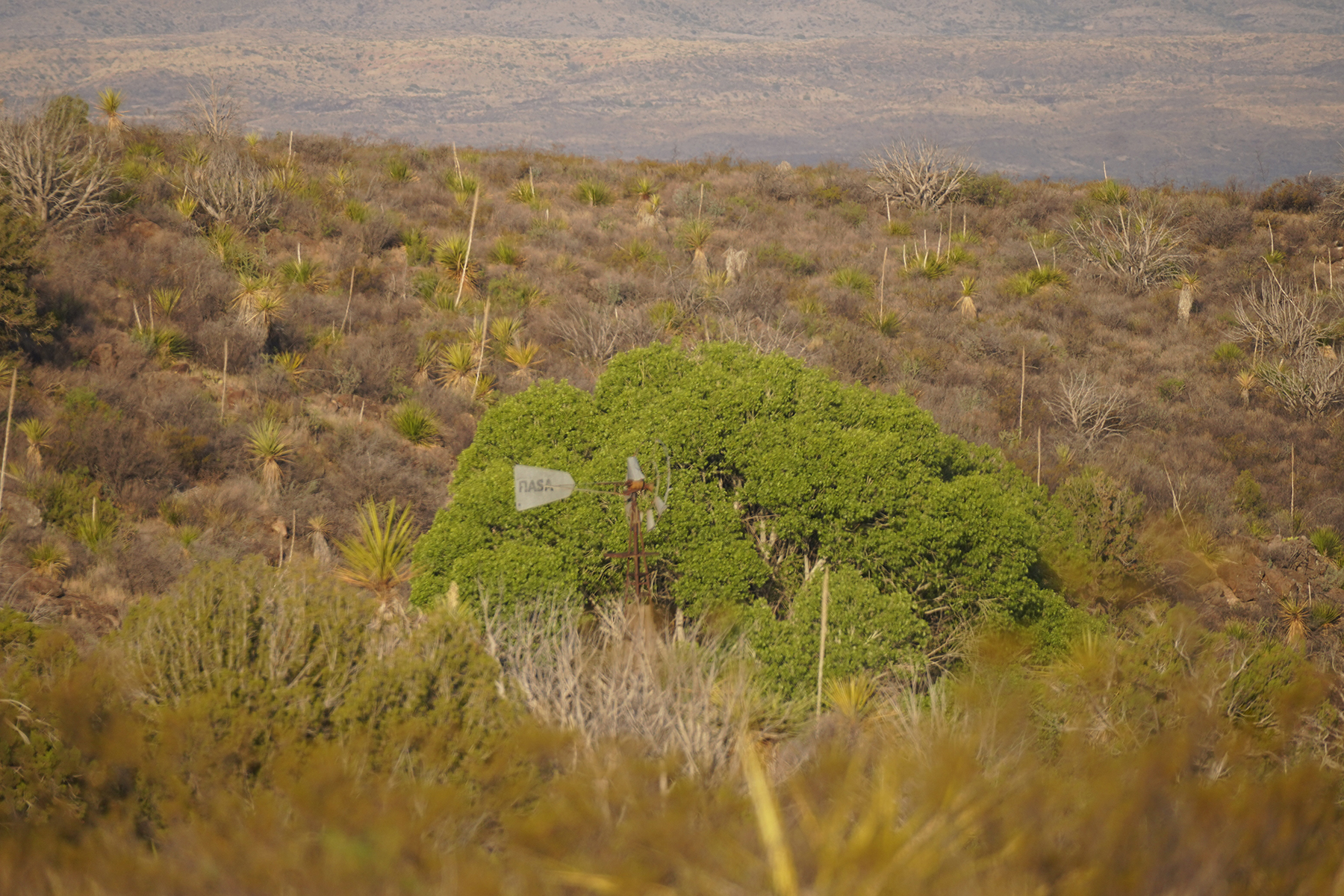 Cripple Mill Ranch property picture 37 of 56