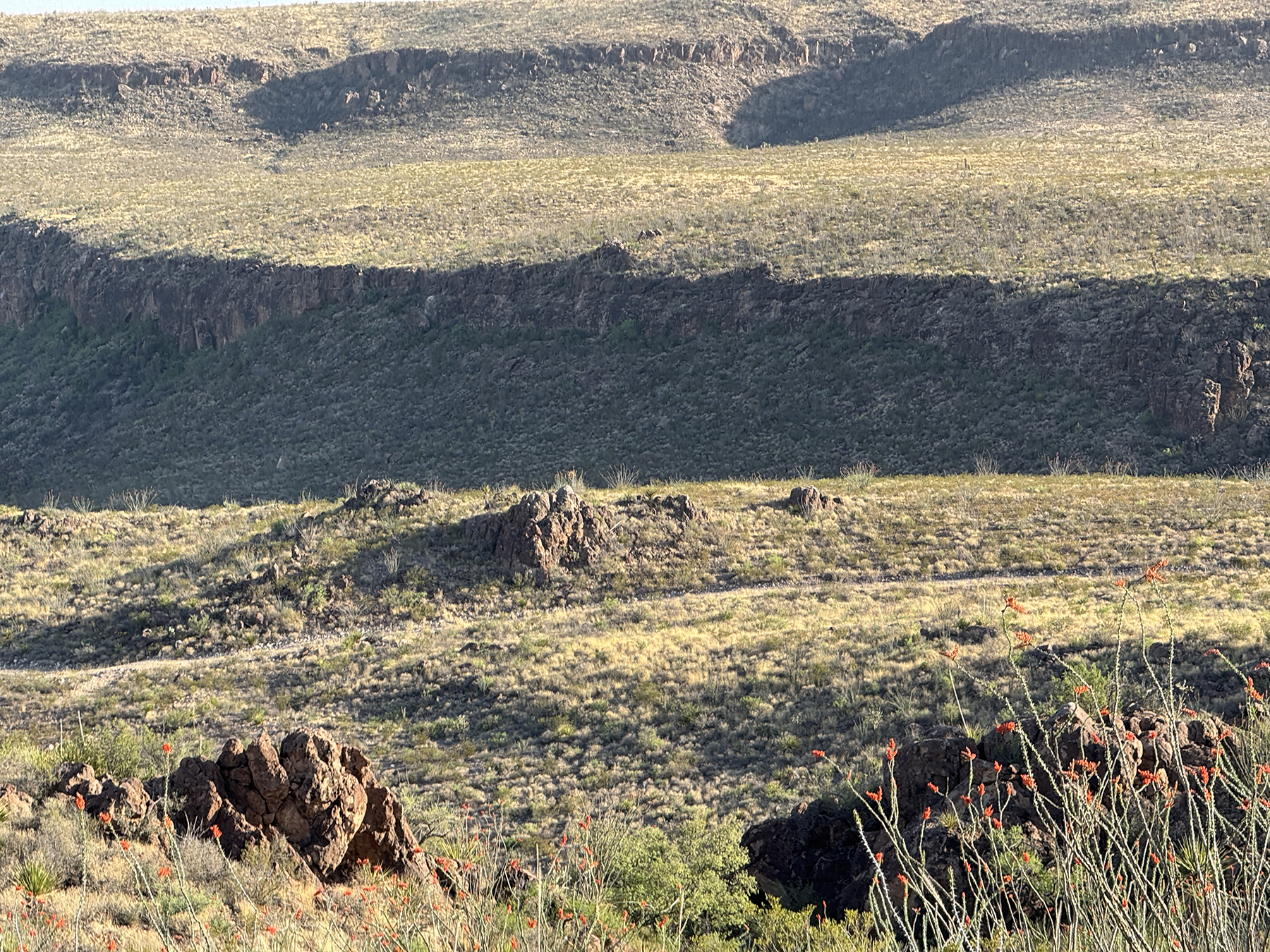 Cripple Mill Ranch property picture 3 of 56