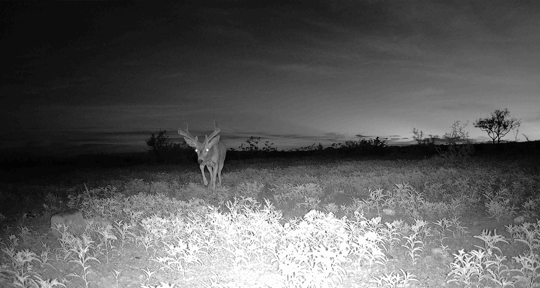 Cripple Mill Ranch property picture 45 of 56