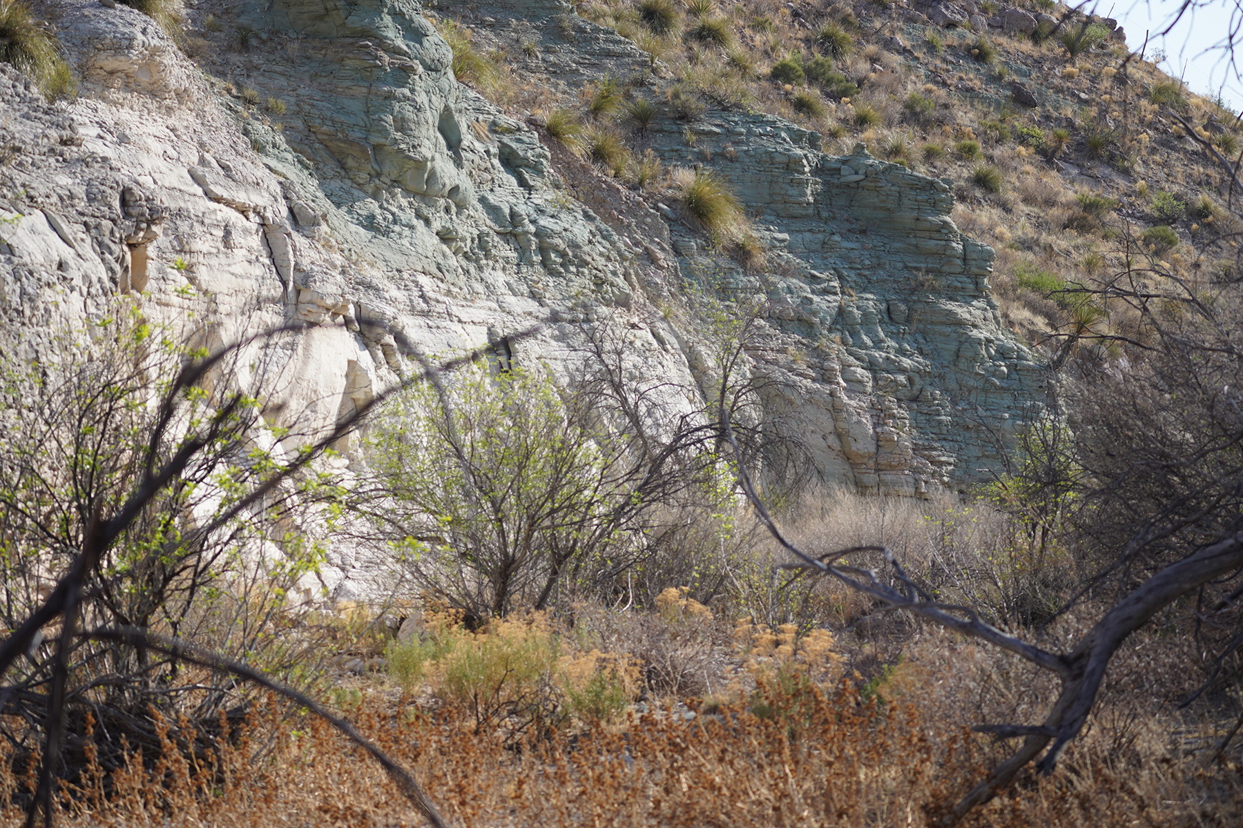 Cripple Mill Ranch property picture 7 of 56