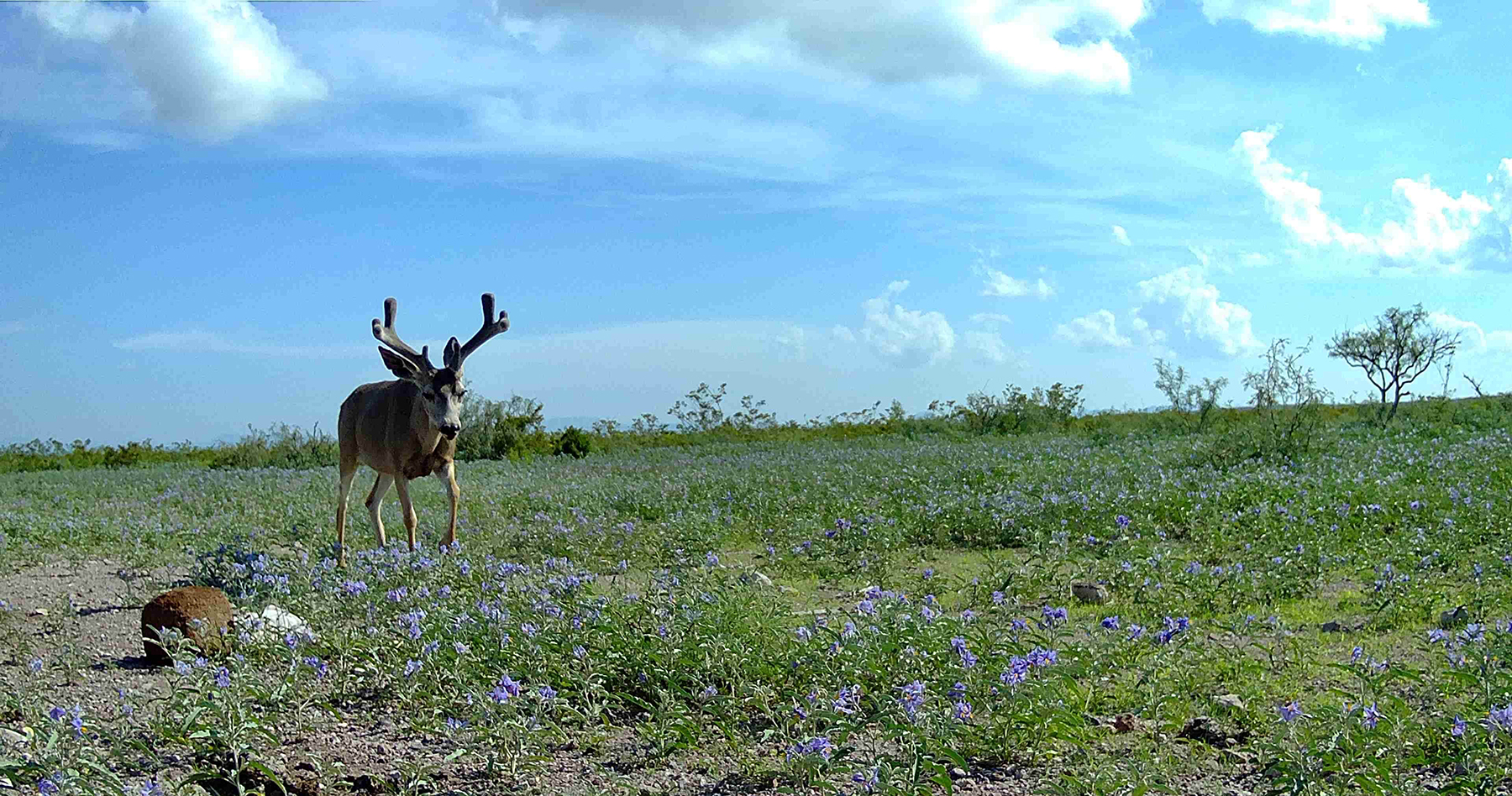 Cripple Mill Ranch property picture 44 of 56