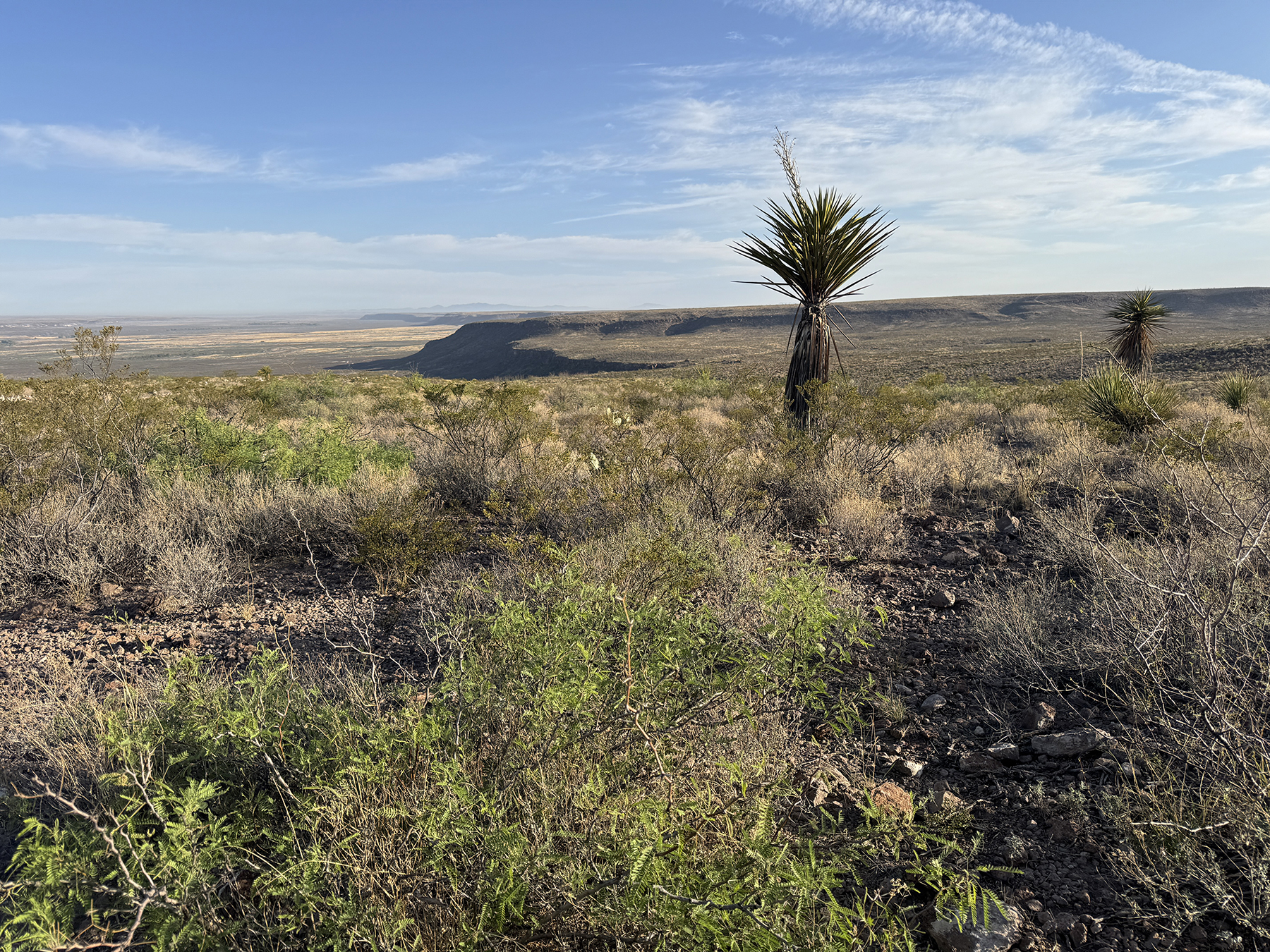 Cripple Mill Ranch property picture 22 of 56
