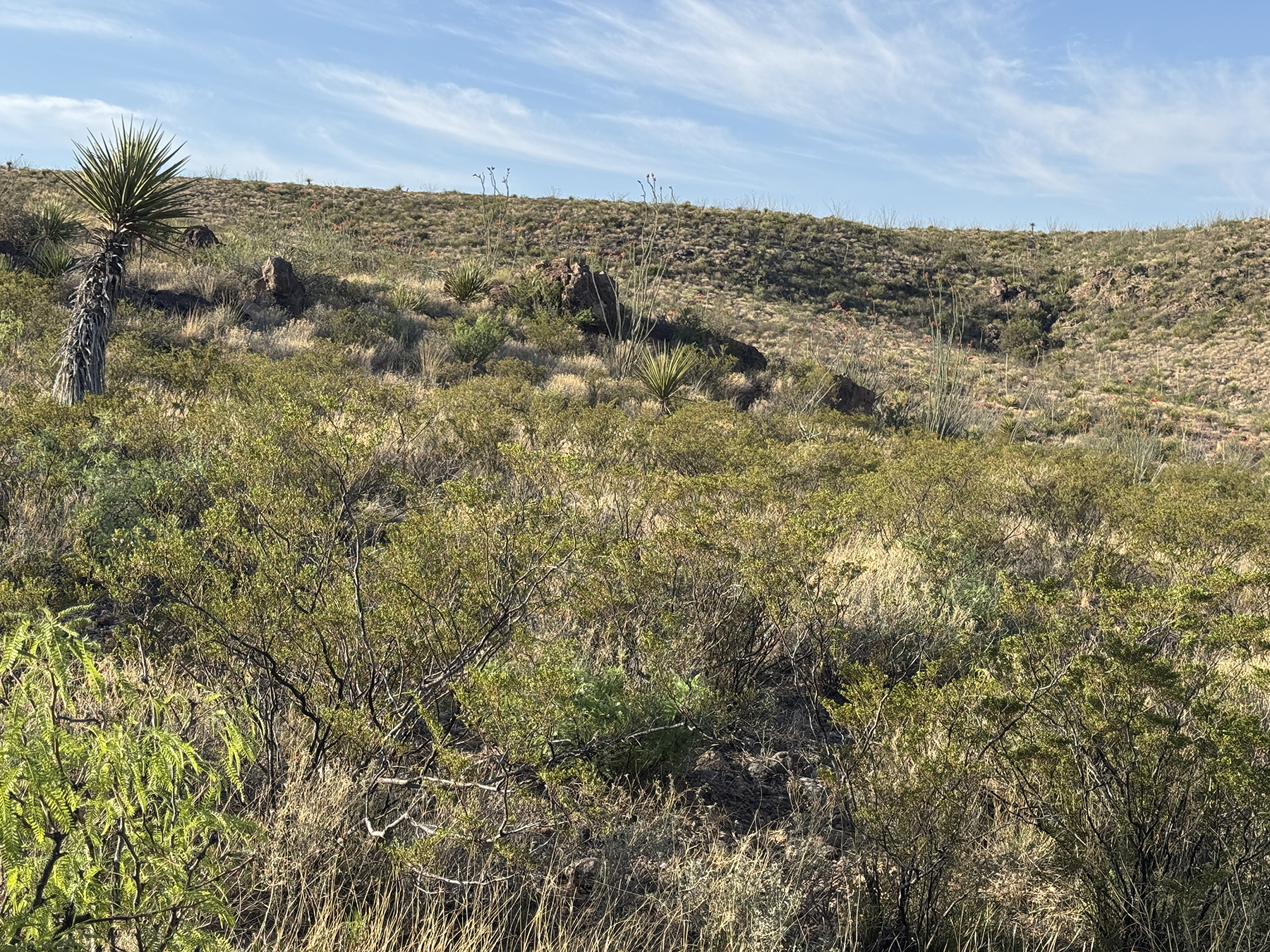 Cripple Mill Ranch property picture 39 of 56