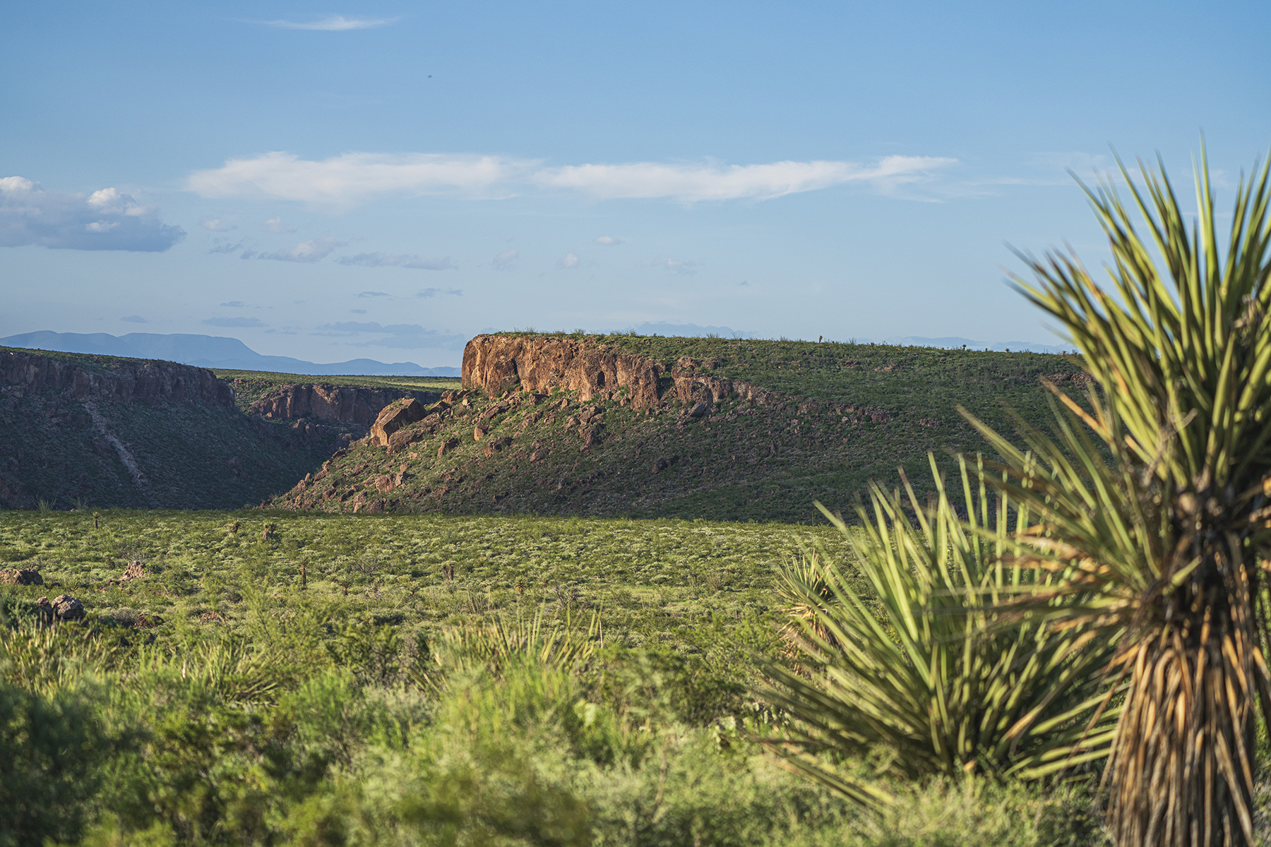 Cripple Mill Ranch property picture 1 of 56