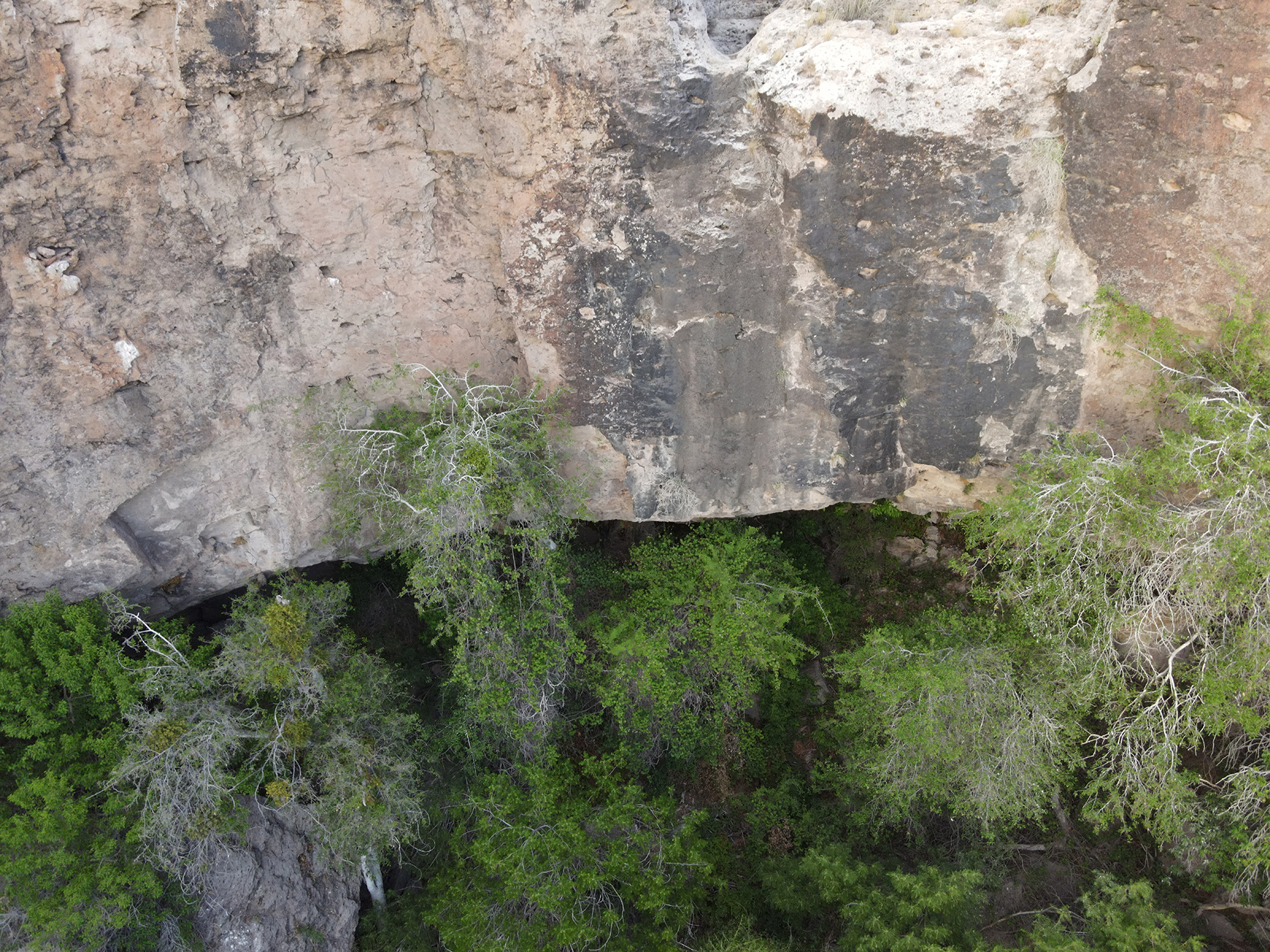 Cripple Mill Ranch property picture 34 of 56