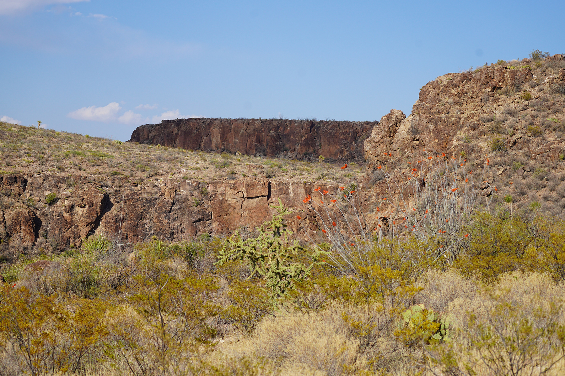 Cripple Mill Ranch property picture 36 of 56