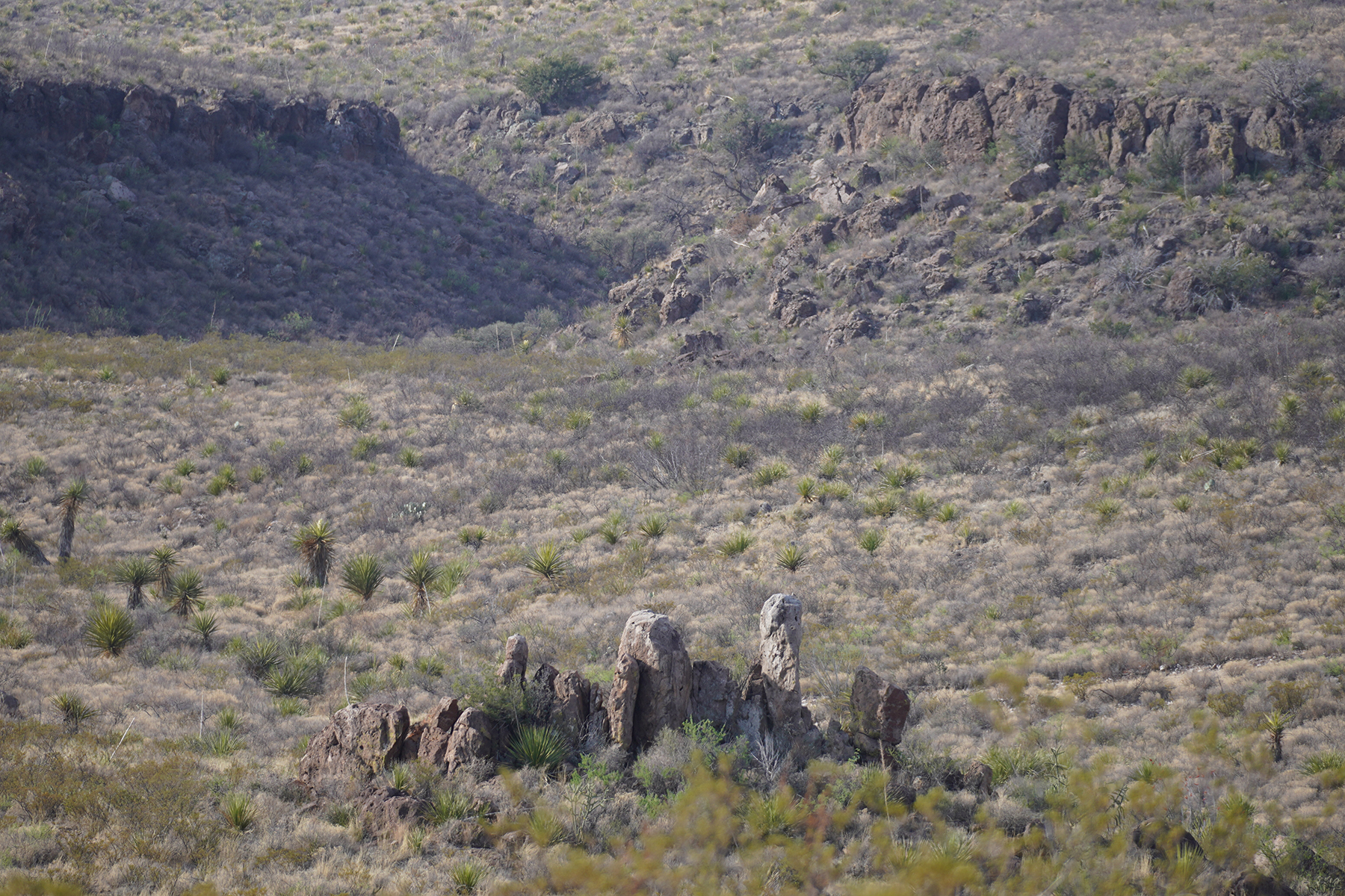 Cripple Mill Ranch property picture 38 of 56