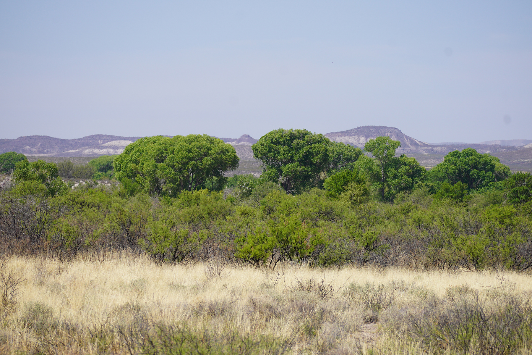 Cripple Mill Ranch property picture 5 of 56