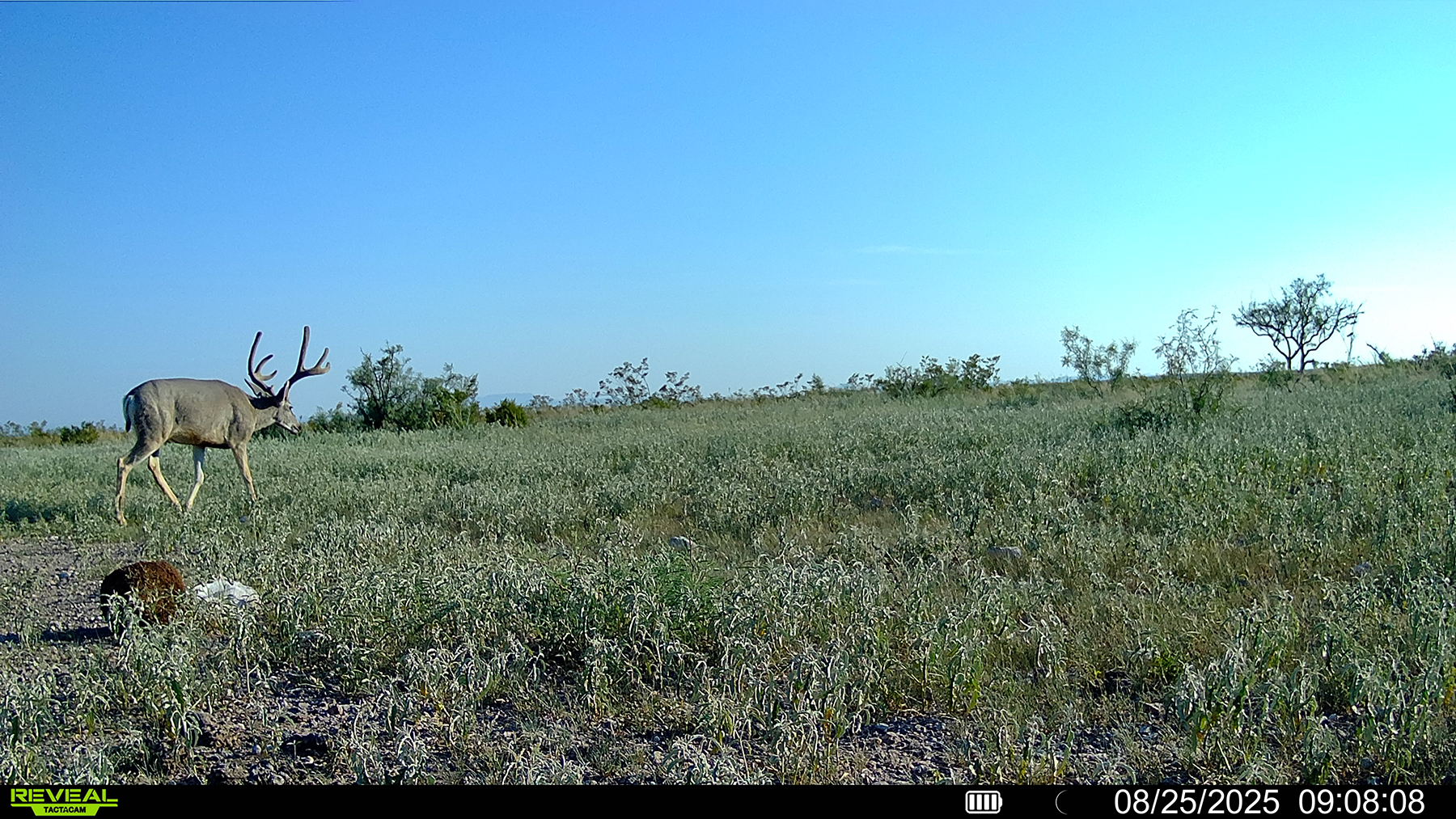 Cripple Mill Ranch property picture 54 of 56