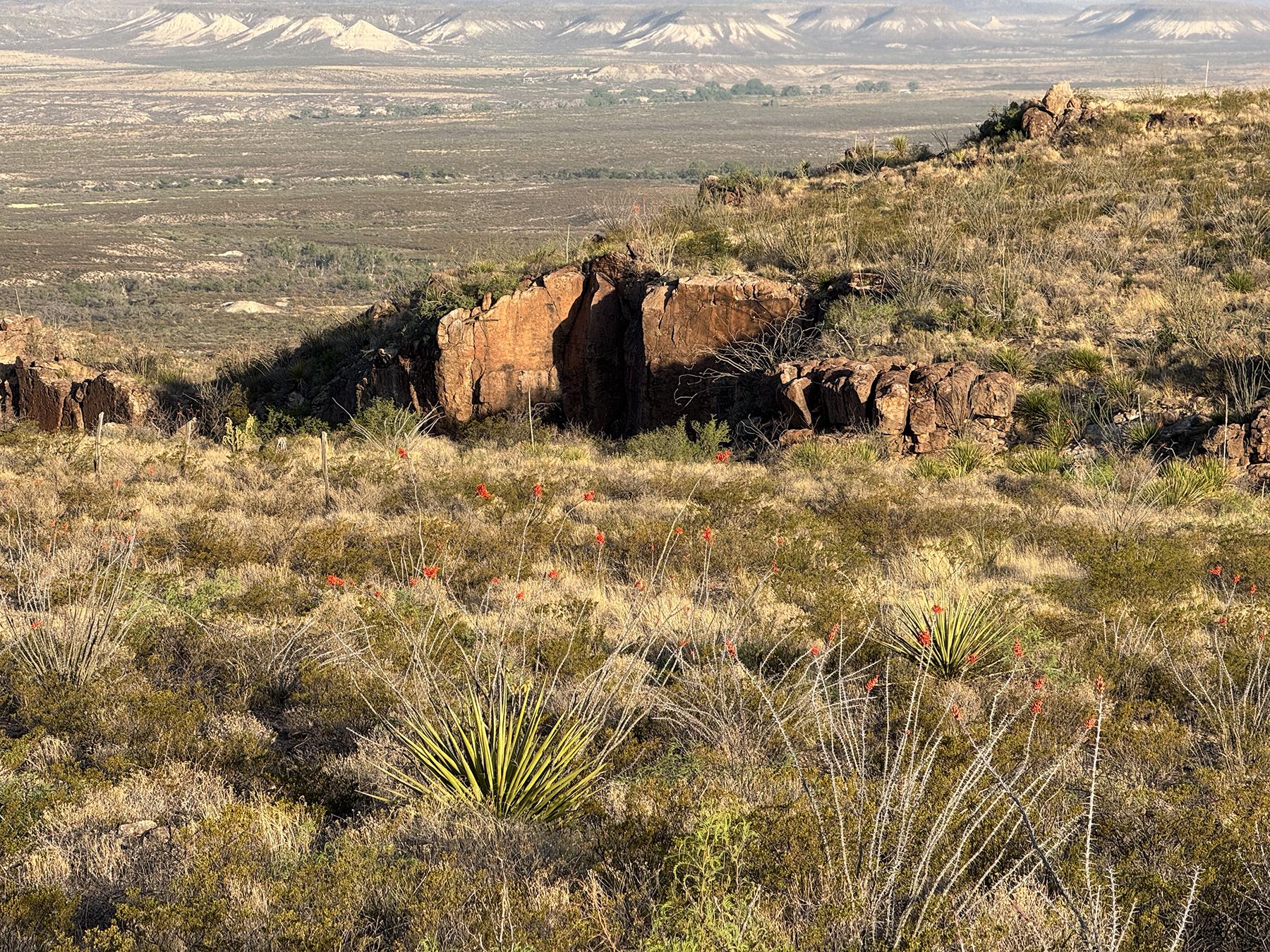 Cripple Mill Ranch property picture 19 of 56