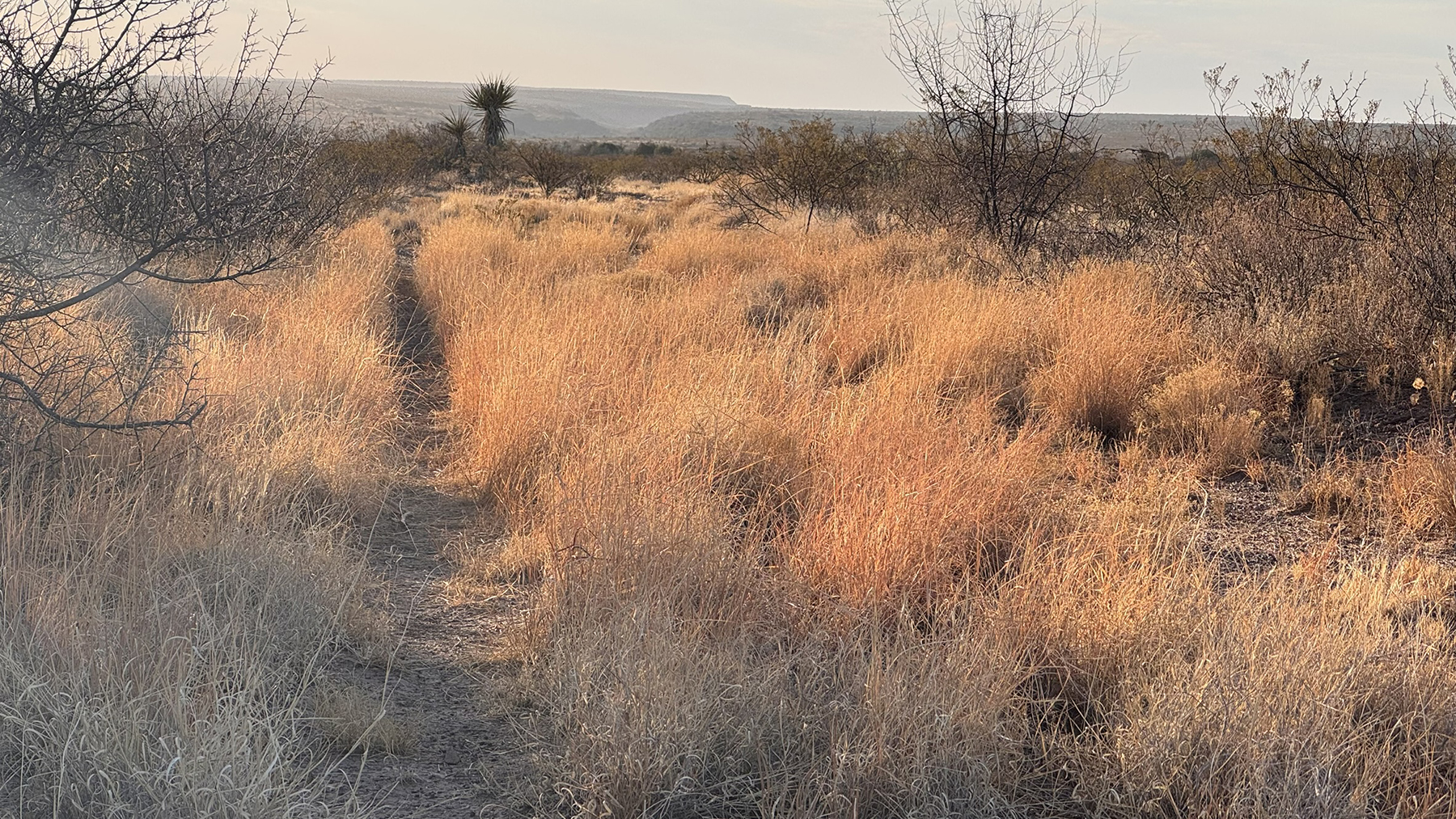 Cripple Mill Ranch property picture 10 of 56