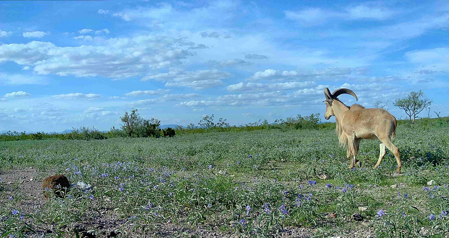 Cripple Mill Ranch property picture 46 of 56