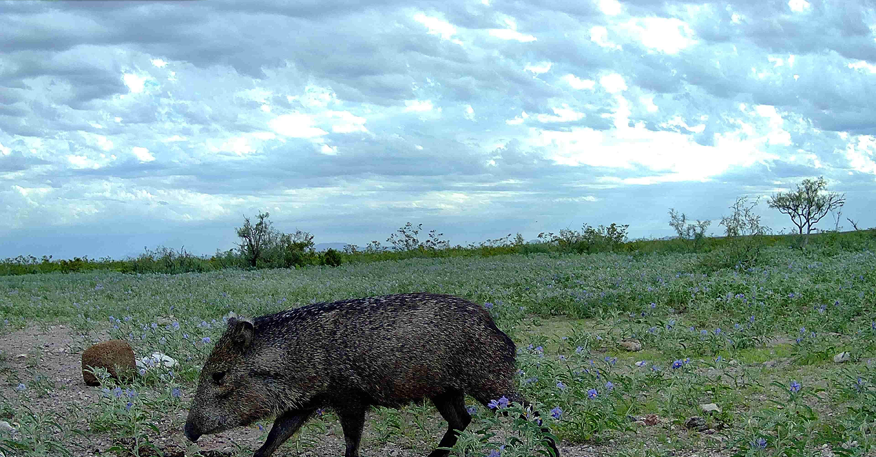 Cripple Mill Ranch property picture 43 of 56