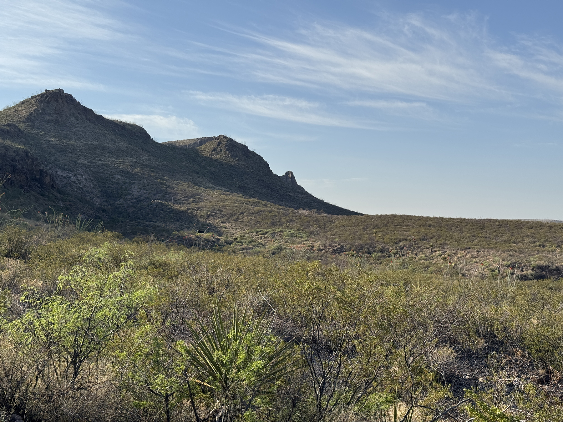 Cripple Mill Ranch property picture 28 of 56
