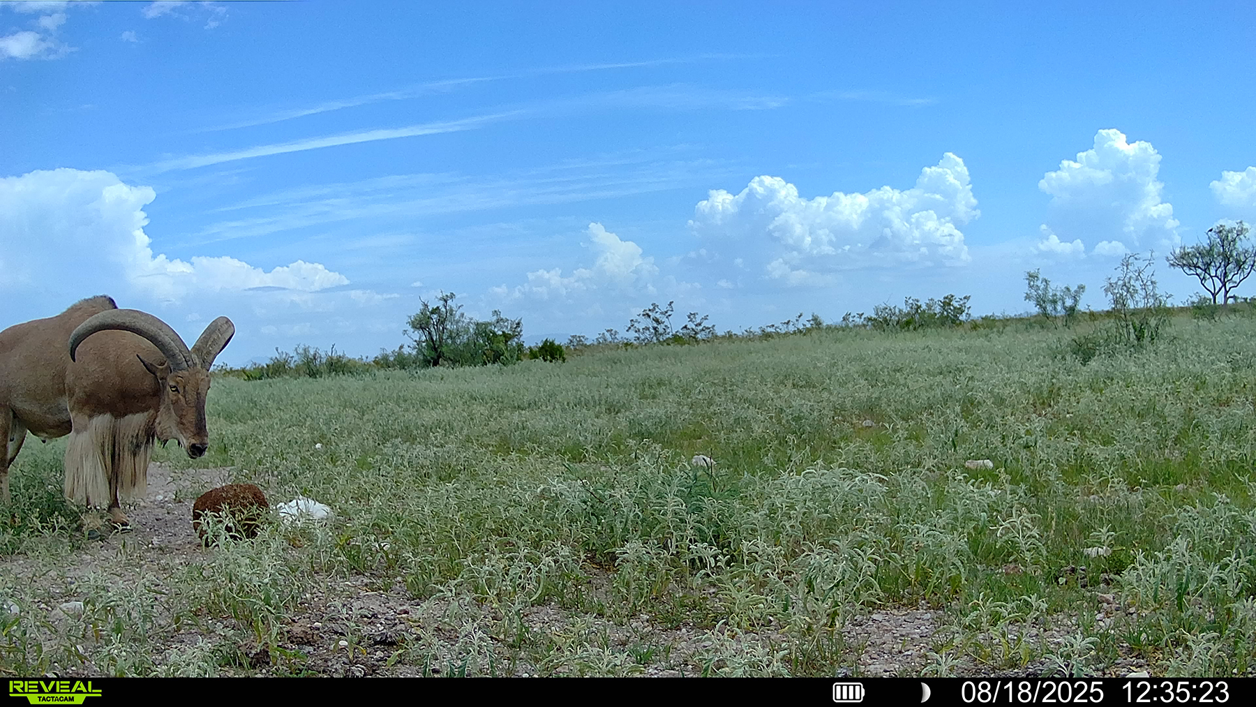 Cripple Mill Ranch property picture 52 of 56