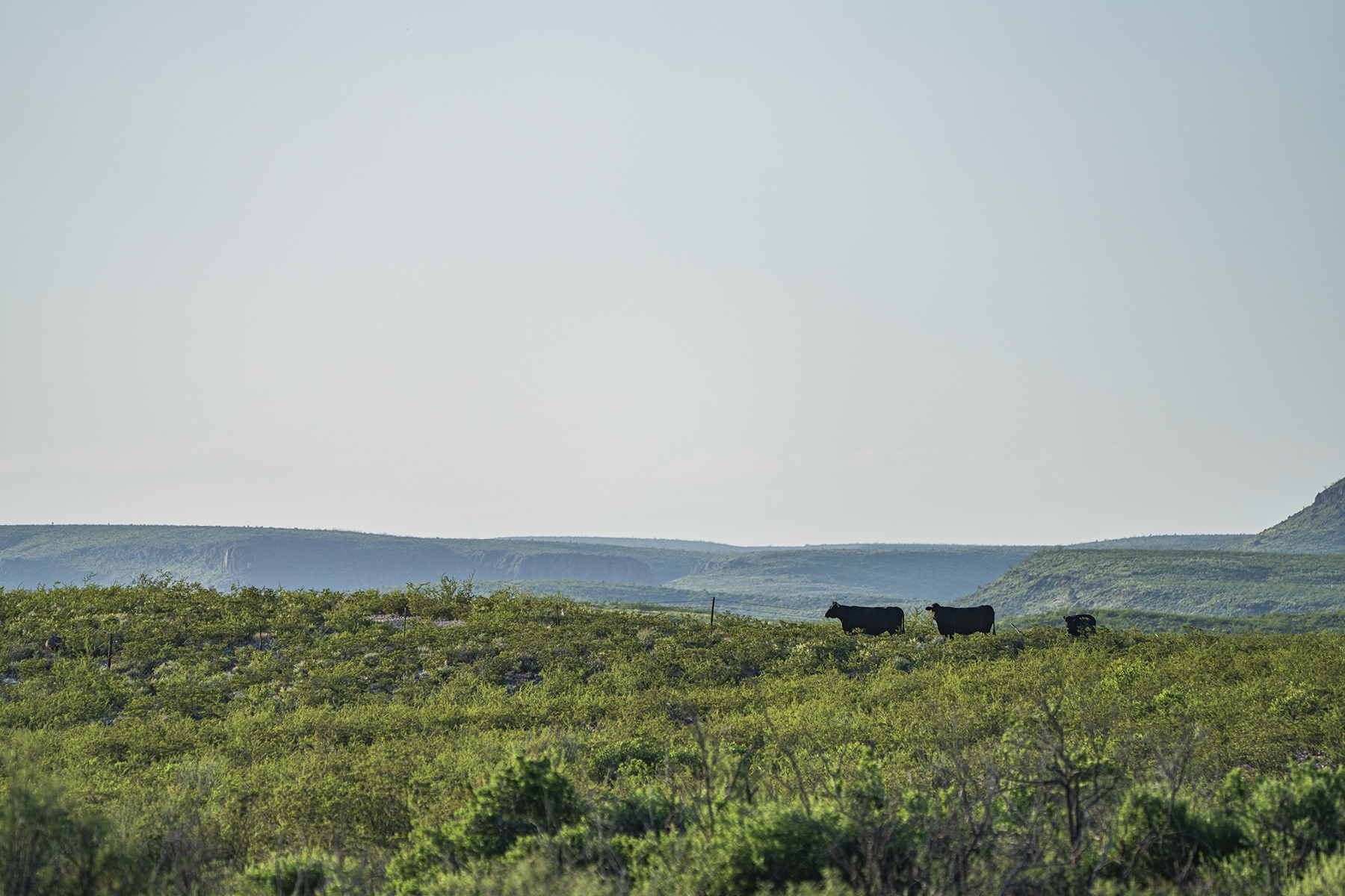 Cripple Mill Ranch property picture 4 of 56