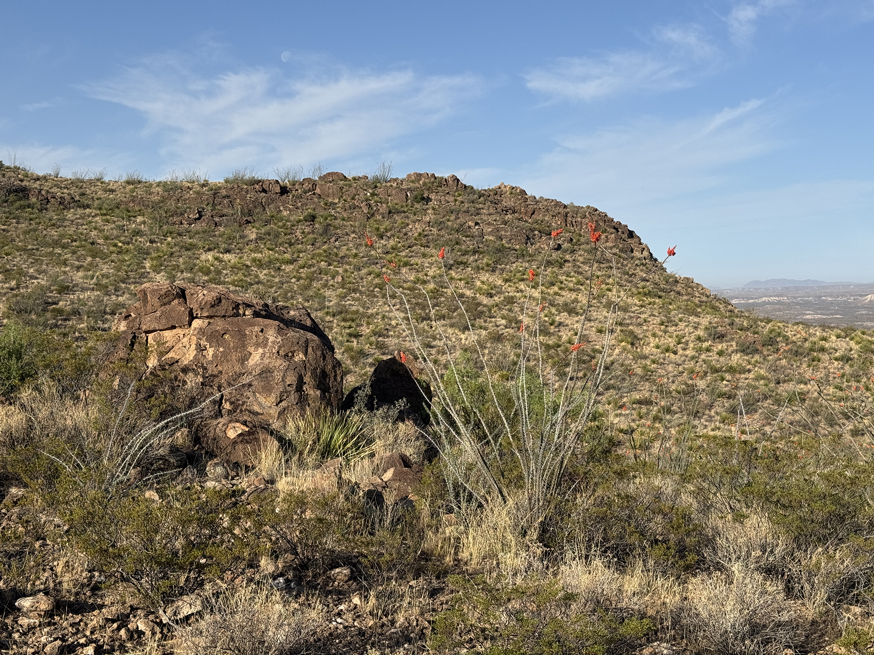Cripple Mill Ranch property picture 41 of 56