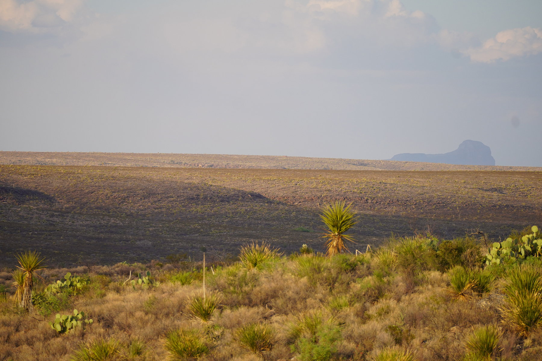 Cripple Mill Ranch property picture 11 of 56