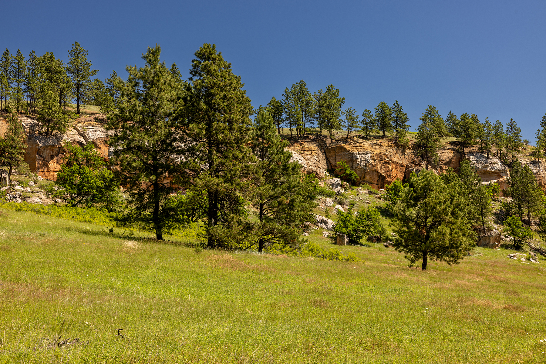Mullenger Ranch property picture 14 of 34