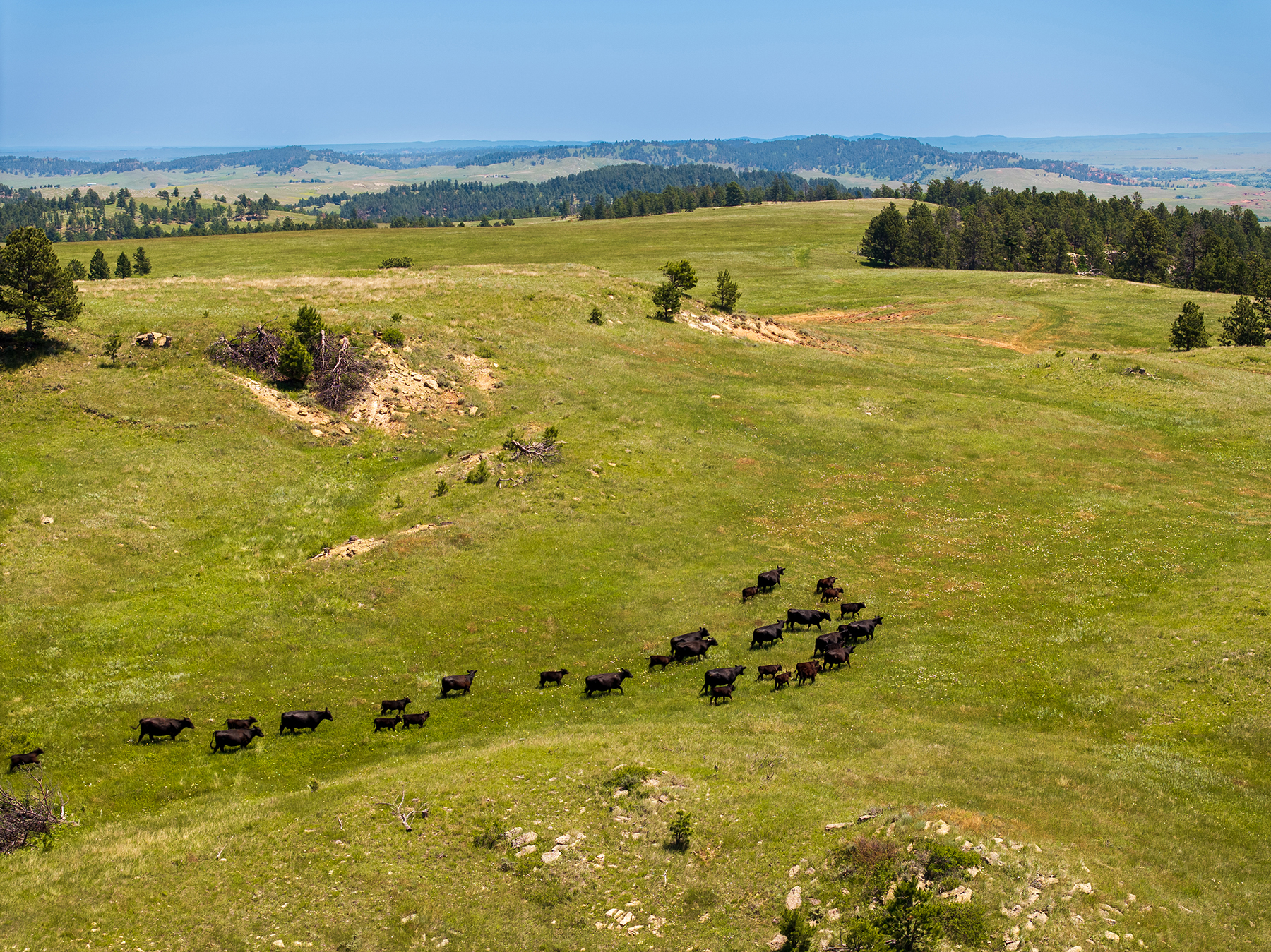 Mullenger Ranch property picture 2 of 34