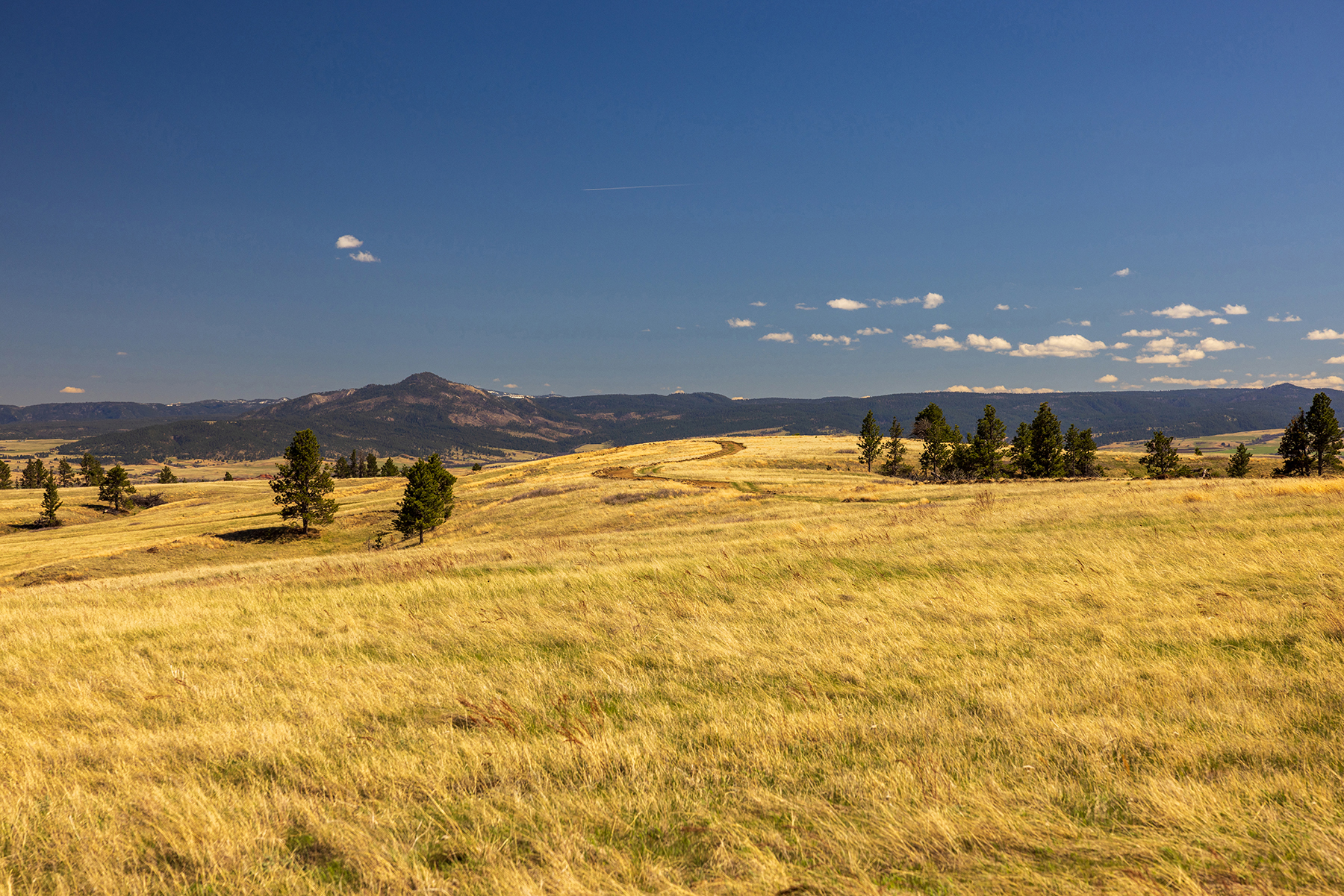 Mullenger Ranch property picture 1 of 52