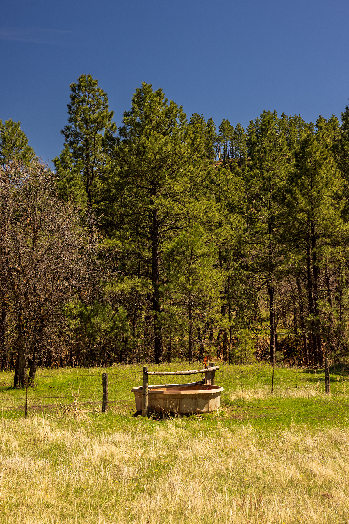 Mullenger Ranch property picture 12 of 34