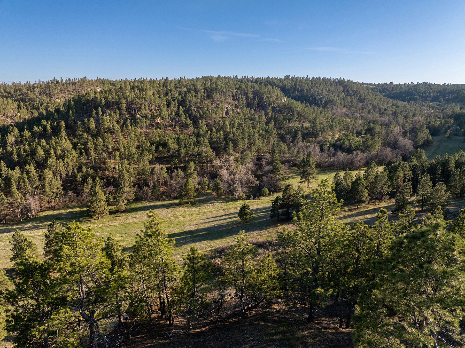 Mullenger Ranch property picture 41 of 52