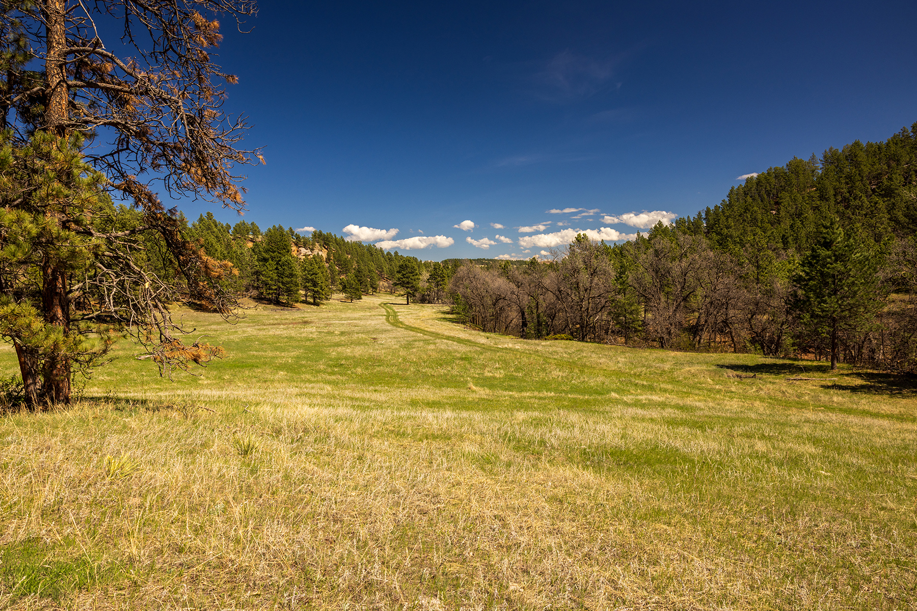 Mullenger Ranch property picture 9 of 34