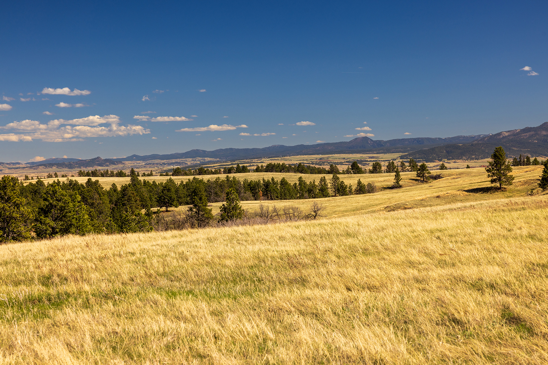 Mullenger Ranch property picture 7 of 34