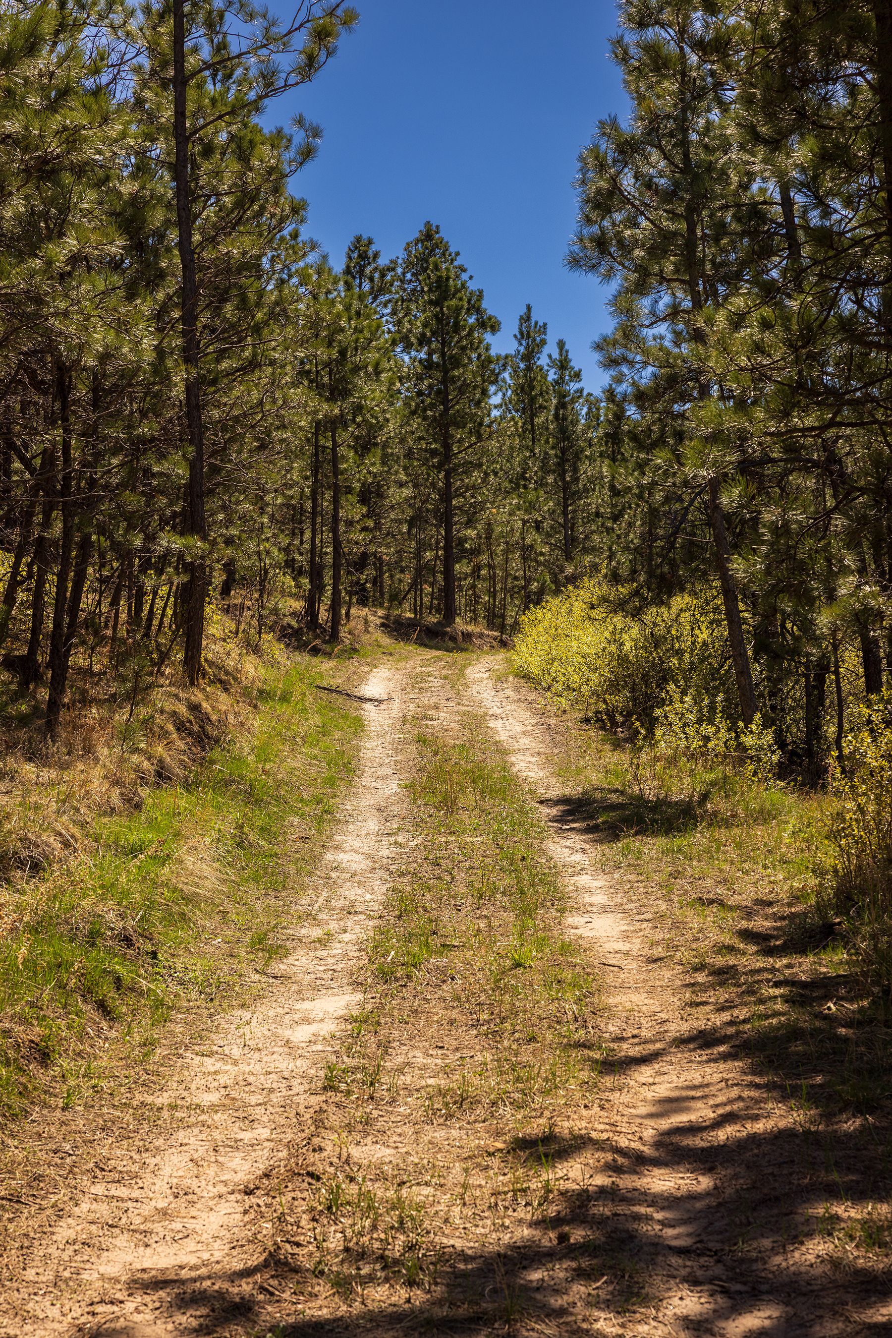 Mullenger Ranch property picture 3 of 34