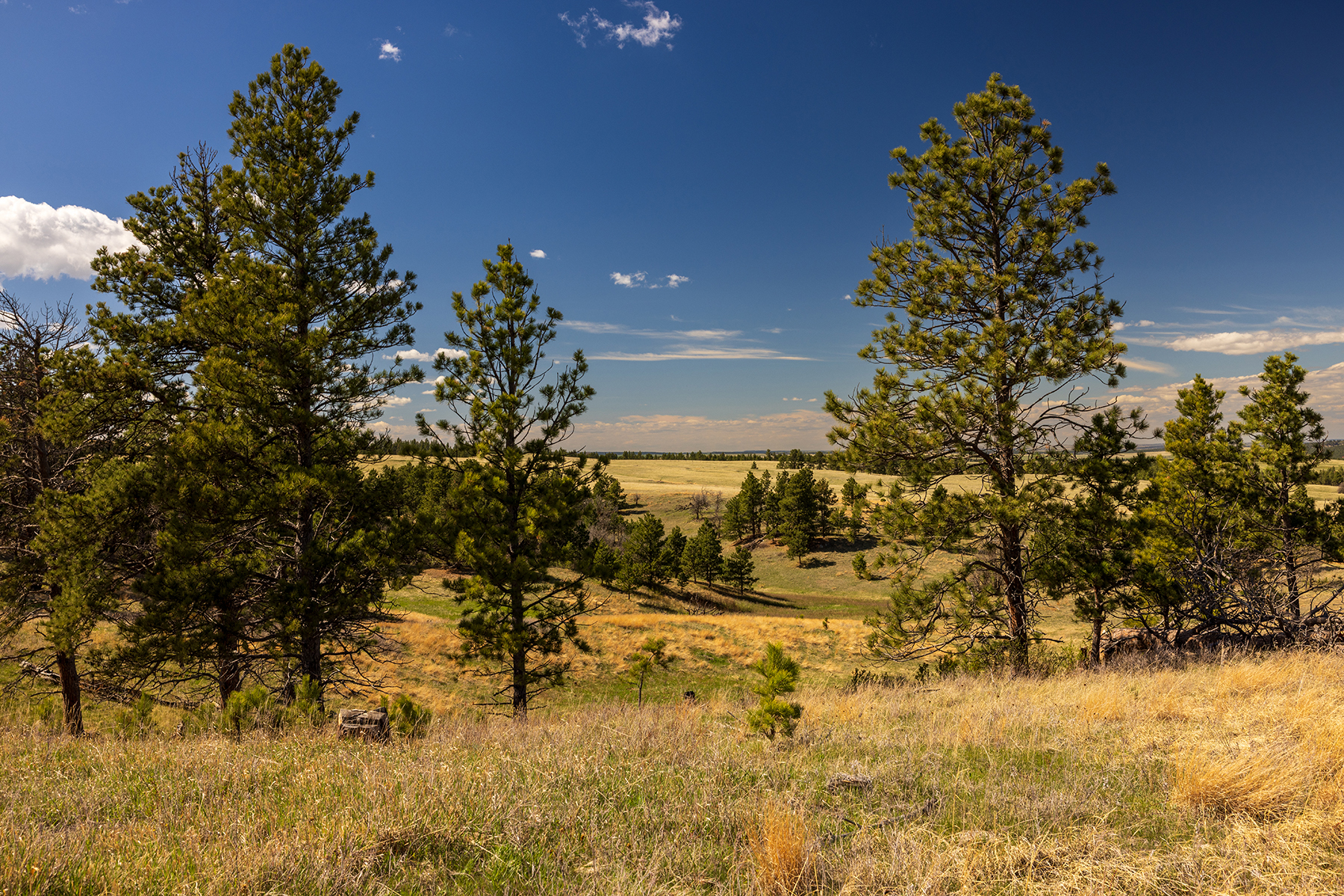 Mullenger Ranch property picture 8 of 34