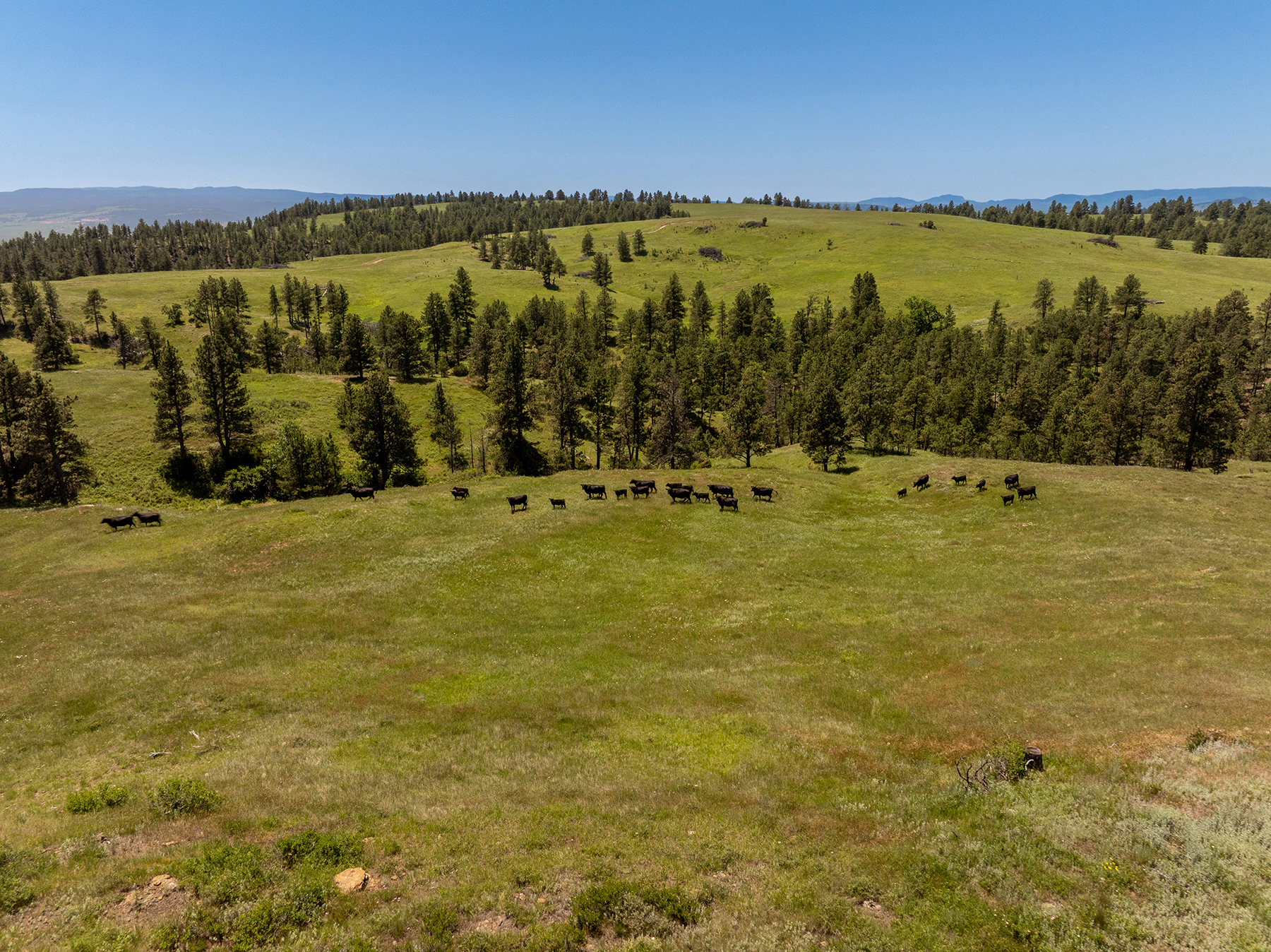 Mullenger Ranch property picture 51 of 52