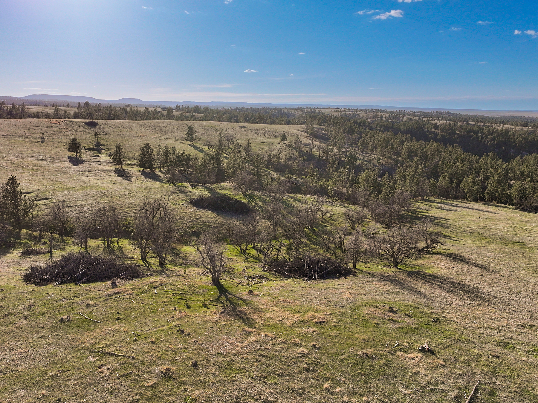 Mullenger Ranch property picture 16 of 34