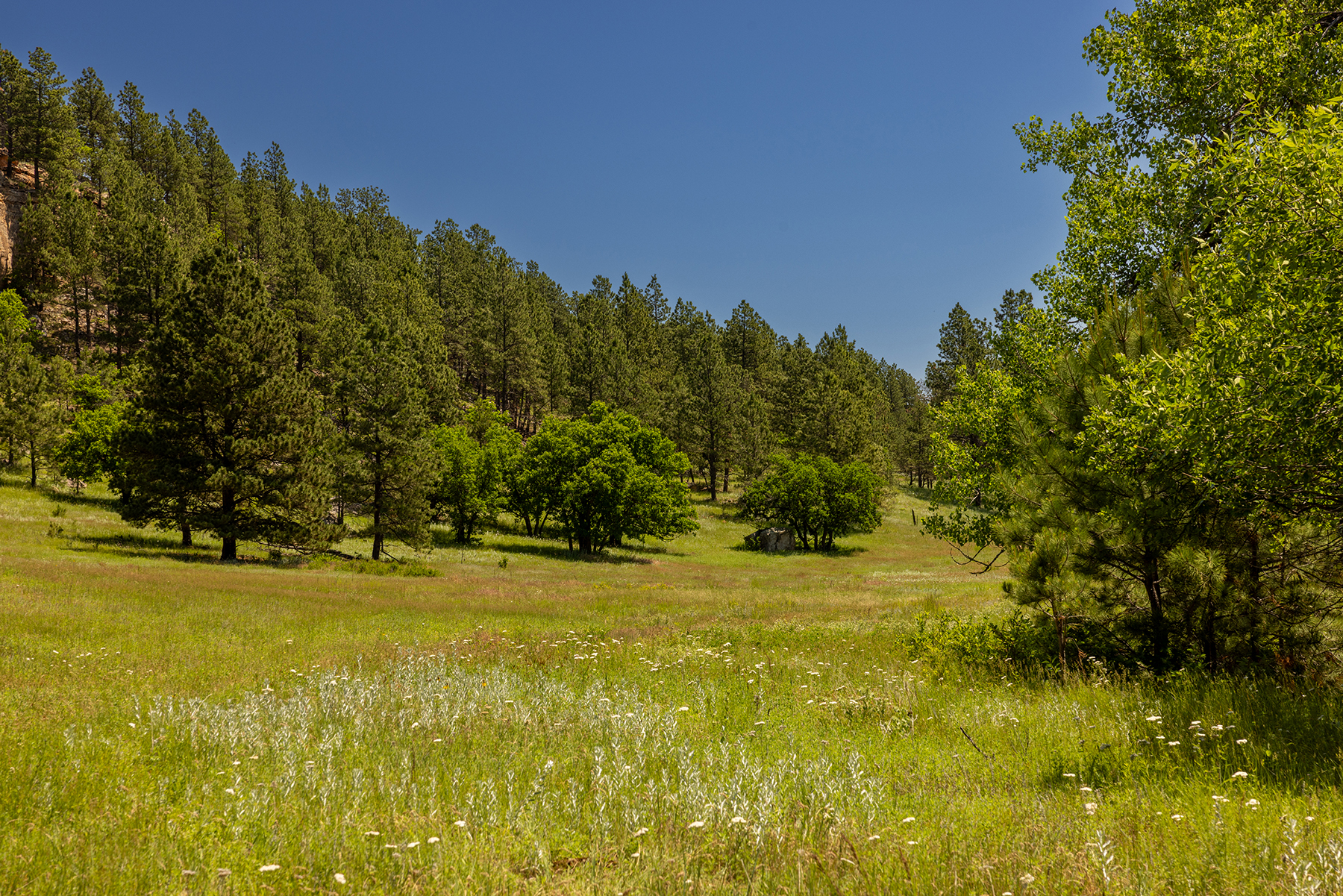 Mullenger Ranch property picture 15 of 34
