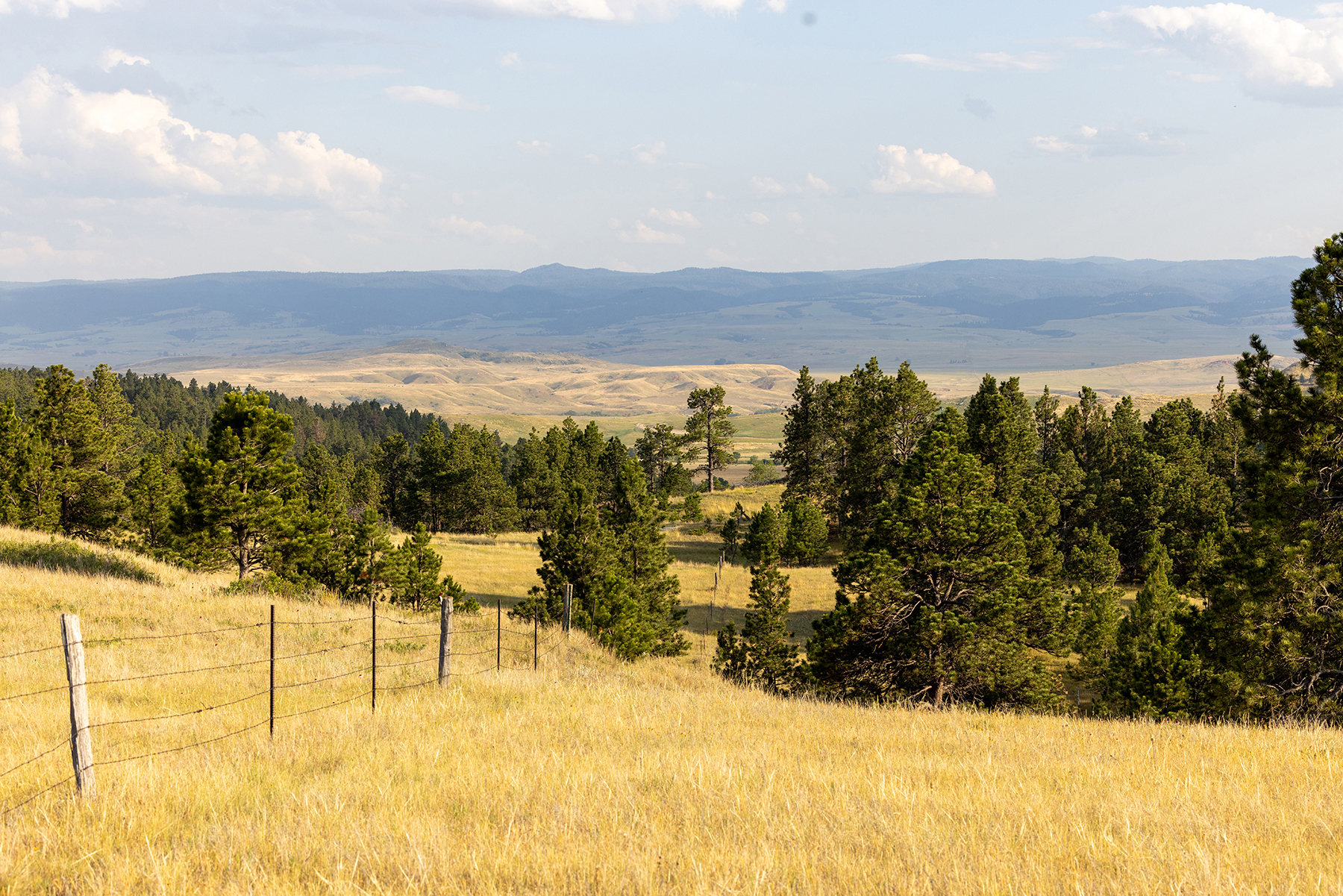 Mullenger Ranch property picture 20 of 52