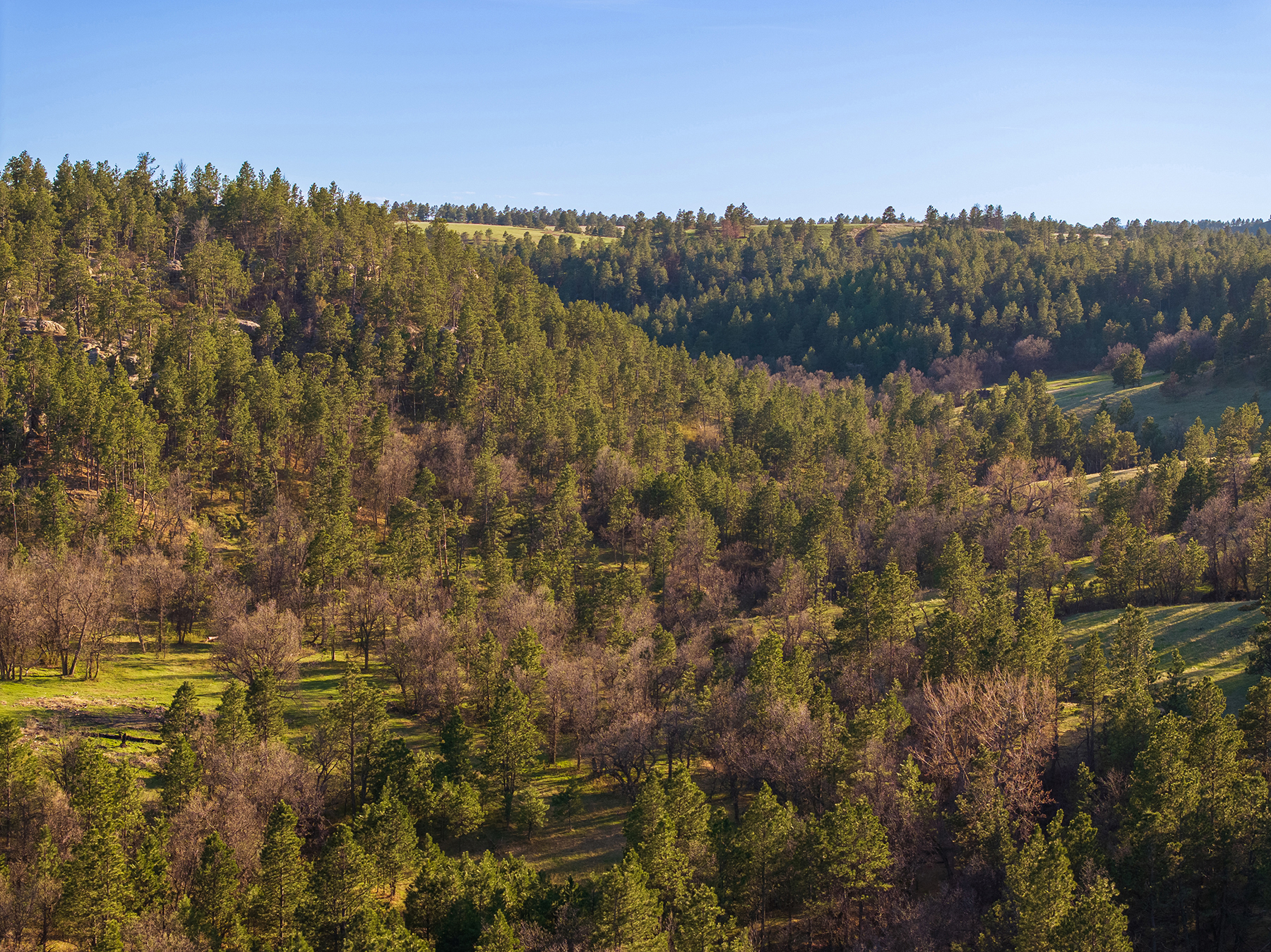 Mullenger Ranch property picture 36 of 52