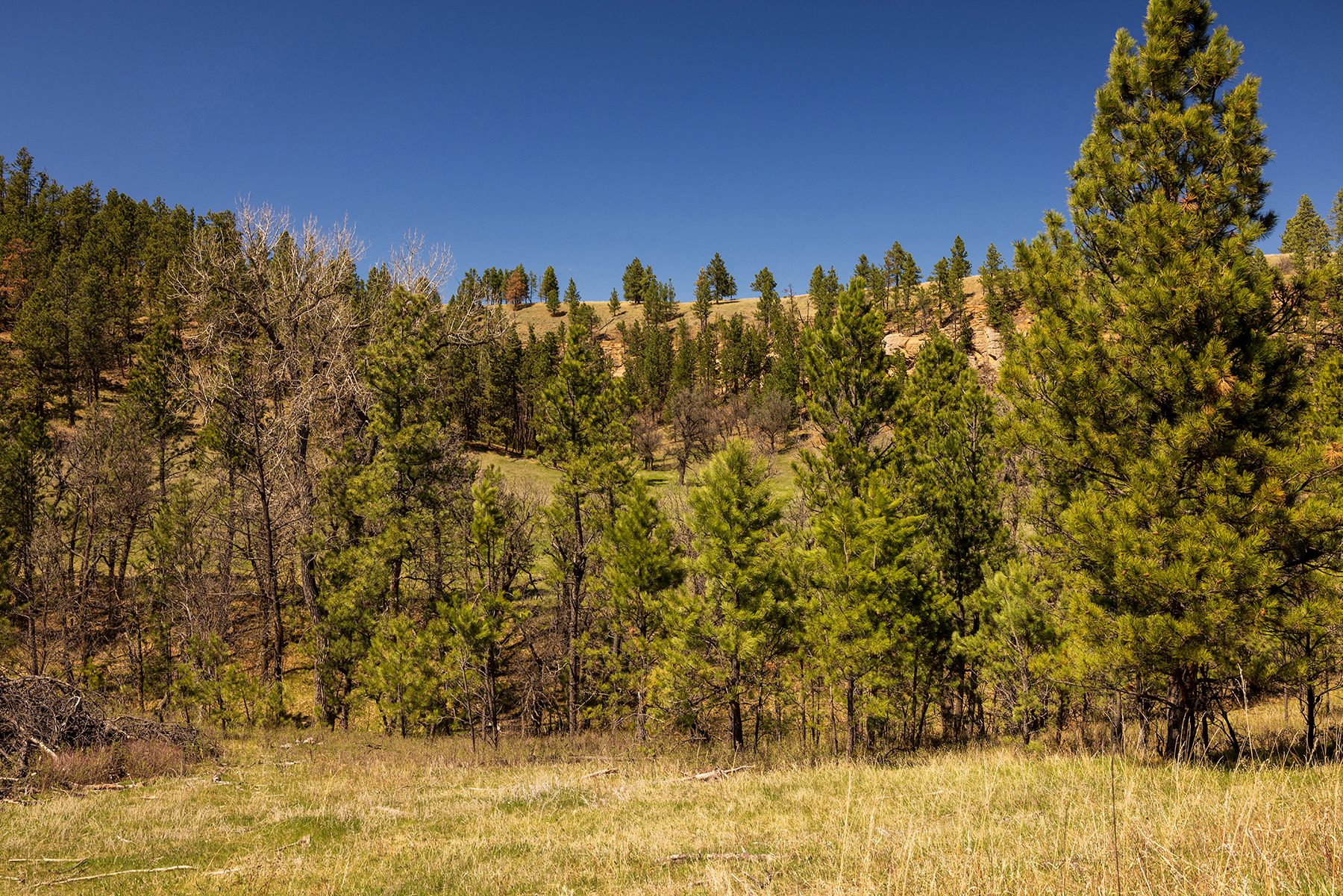 Mullenger Ranch property picture 13 of 52