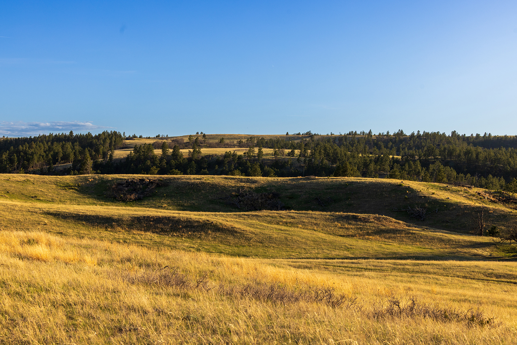 Mullenger Ranch property picture 5 of 34