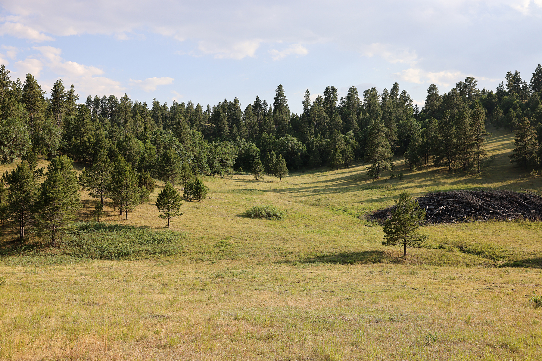 Mullenger Ranch property picture 21 of 52