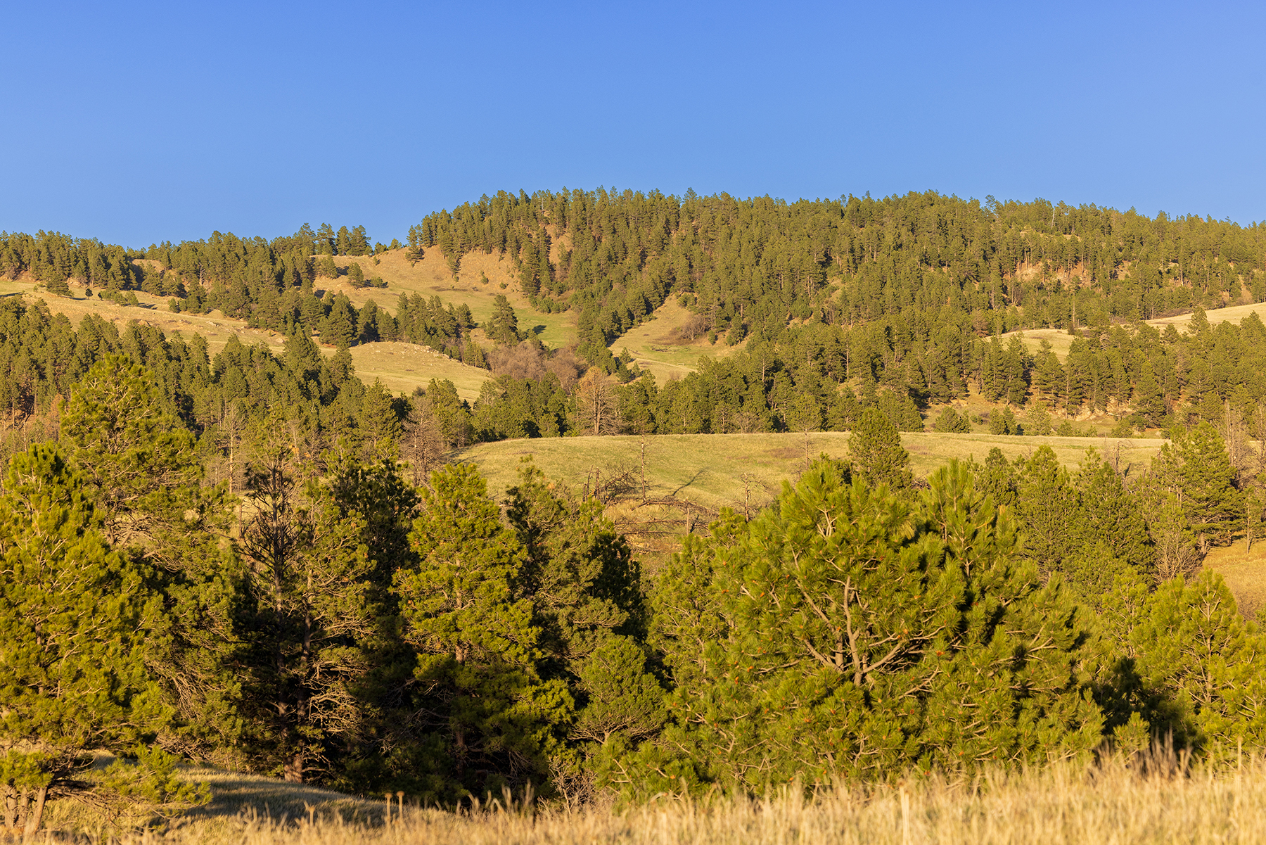 Mullenger Ranch property picture 11 of 34