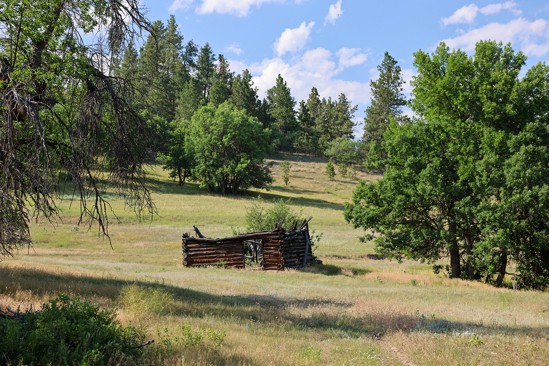 Mullenger Ranch property picture 26 of 52