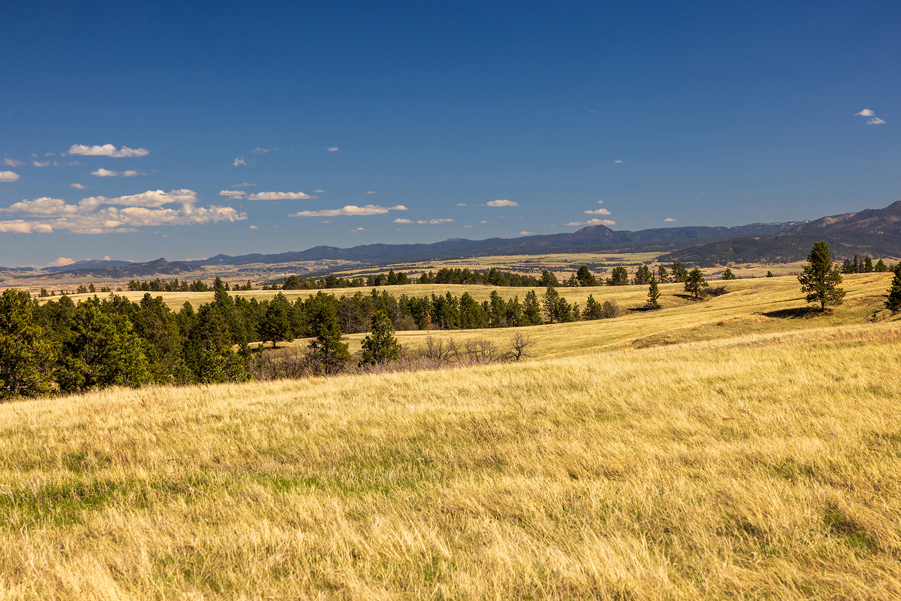Mullenger Ranch property picture 15 of 52